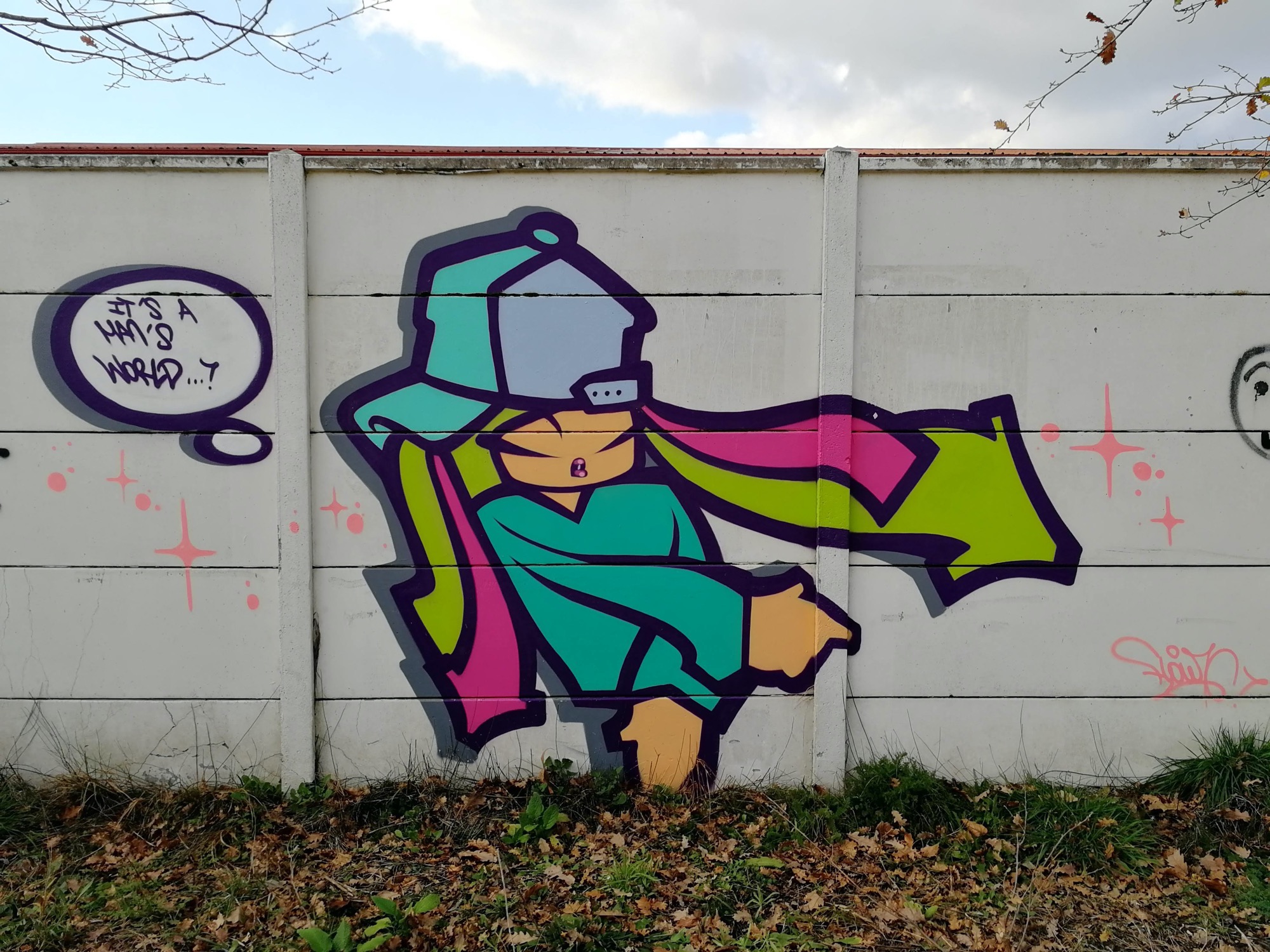 Graffiti 779  de Flow 76 capturé par Rabot à Bordeaux France
