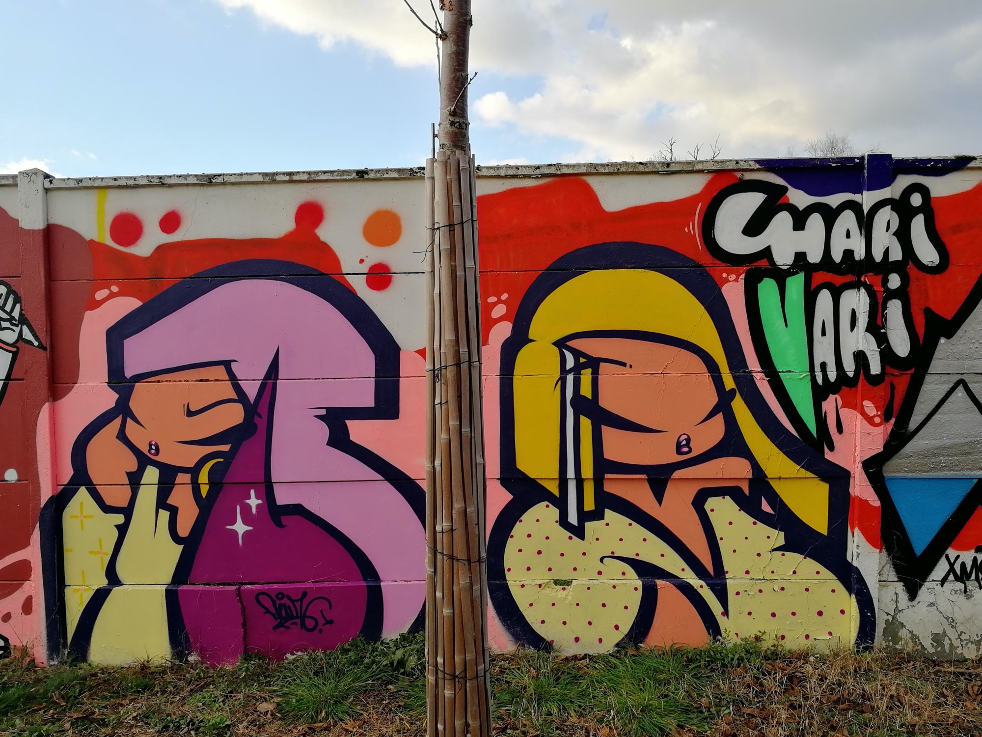 Graffiti 781  de Flow 76 capturé par Rabot à Bordeaux France