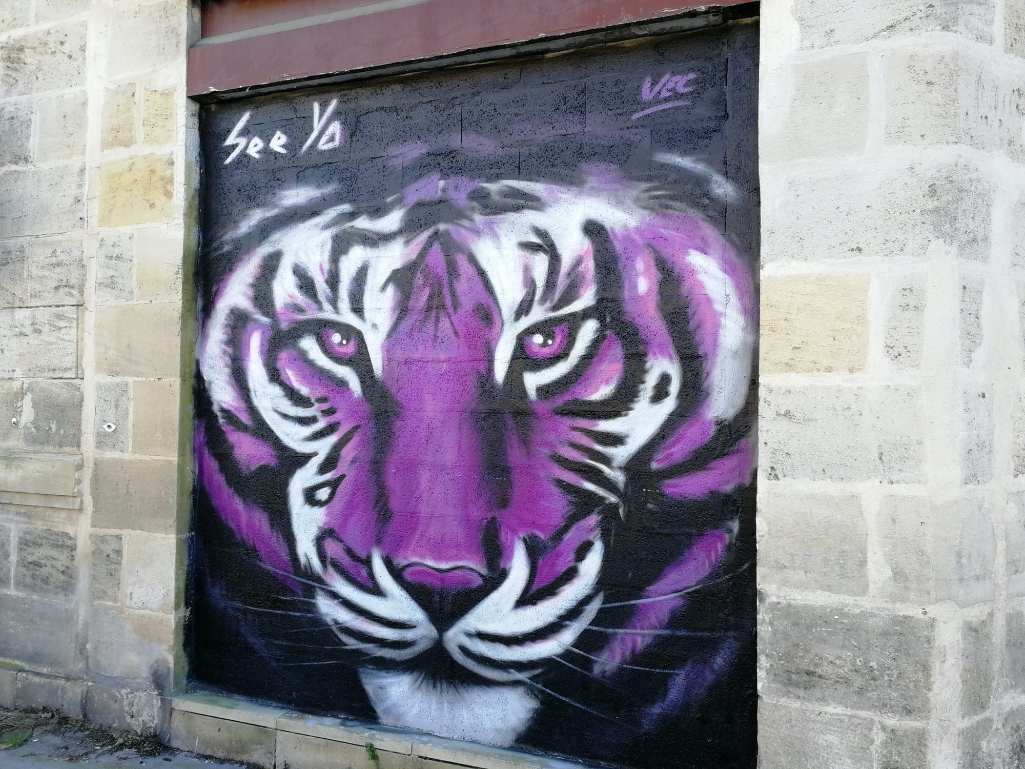 Graffiti 800 Purple tiger vec by the artist See Ya captured by Rabot in Bordeaux France