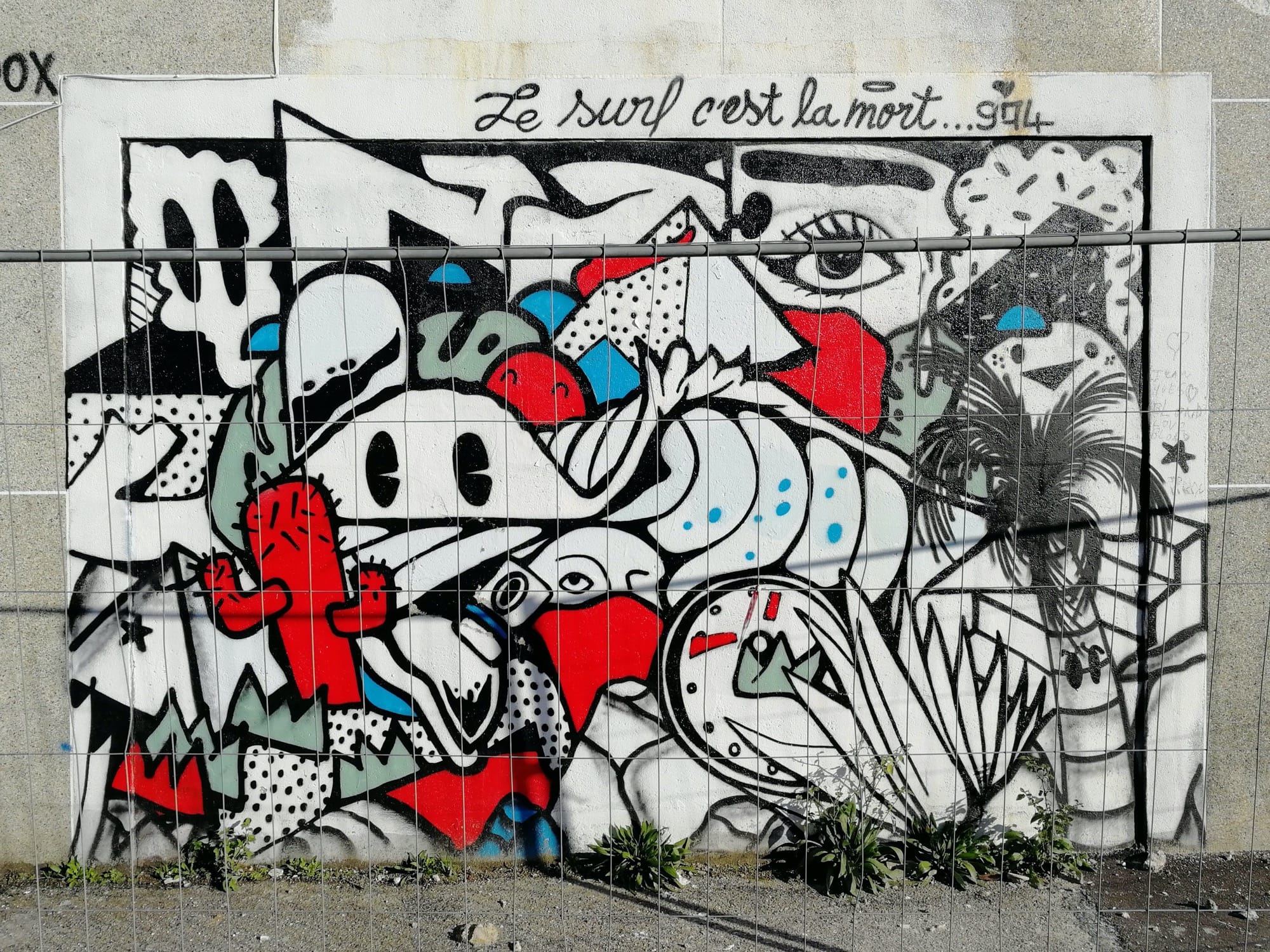 Graffiti 803 Le surf c est la mort 974 capturé par Rabot à Bordeaux France