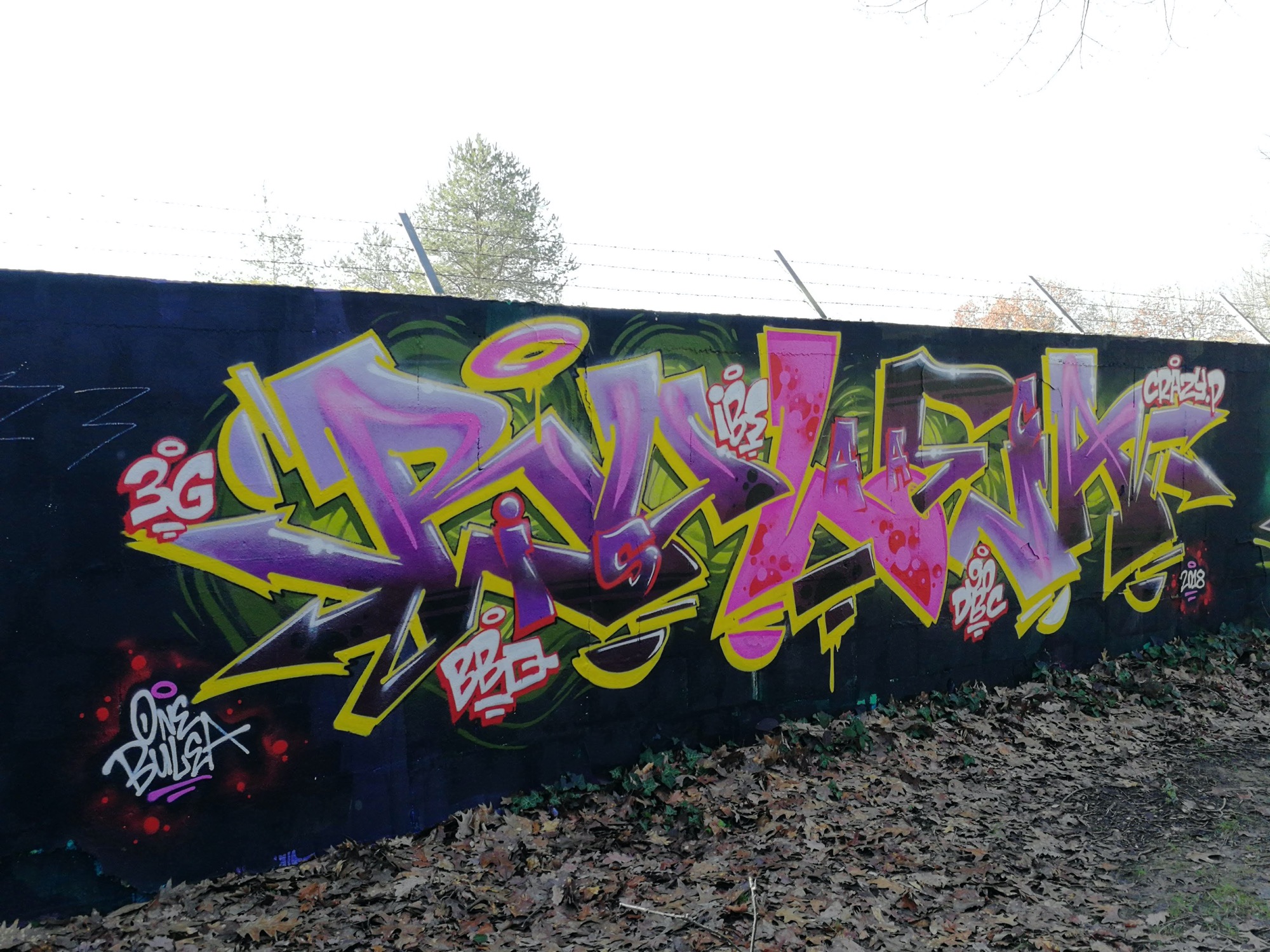 Graffiti 852  capturé par Rabot à Nantes France