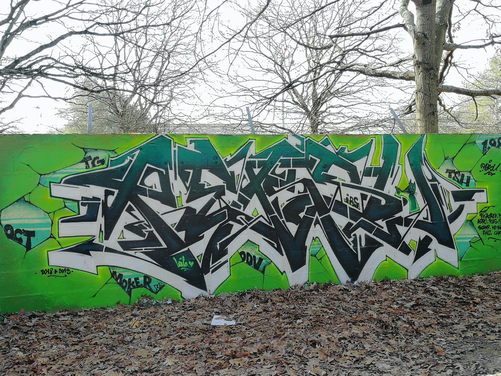 Graffiti 854  de Persu capturé par Rabot à Nantes France