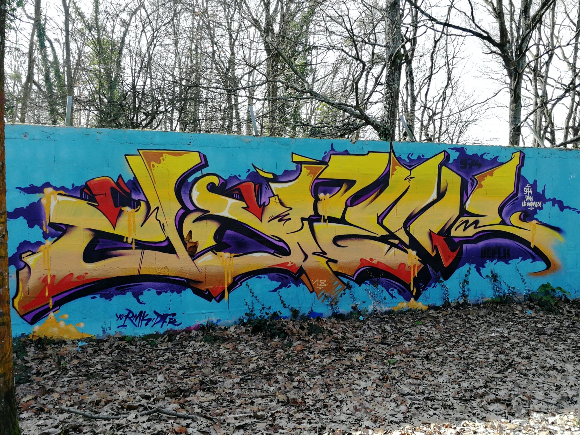 Graffiti 858  capturé par Rabot à Nantes France