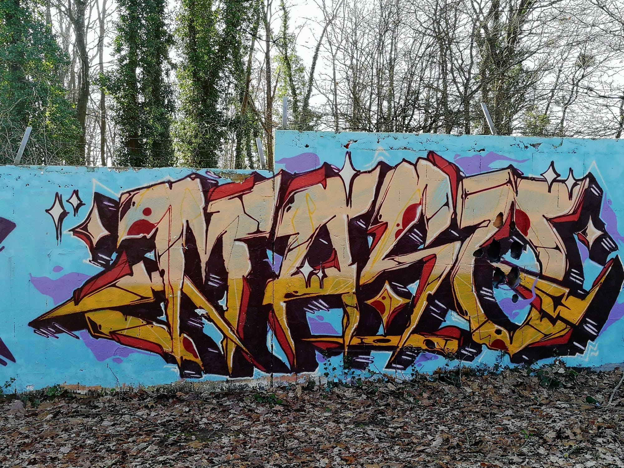 Graffiti 859  capturé par Rabot à Nantes France