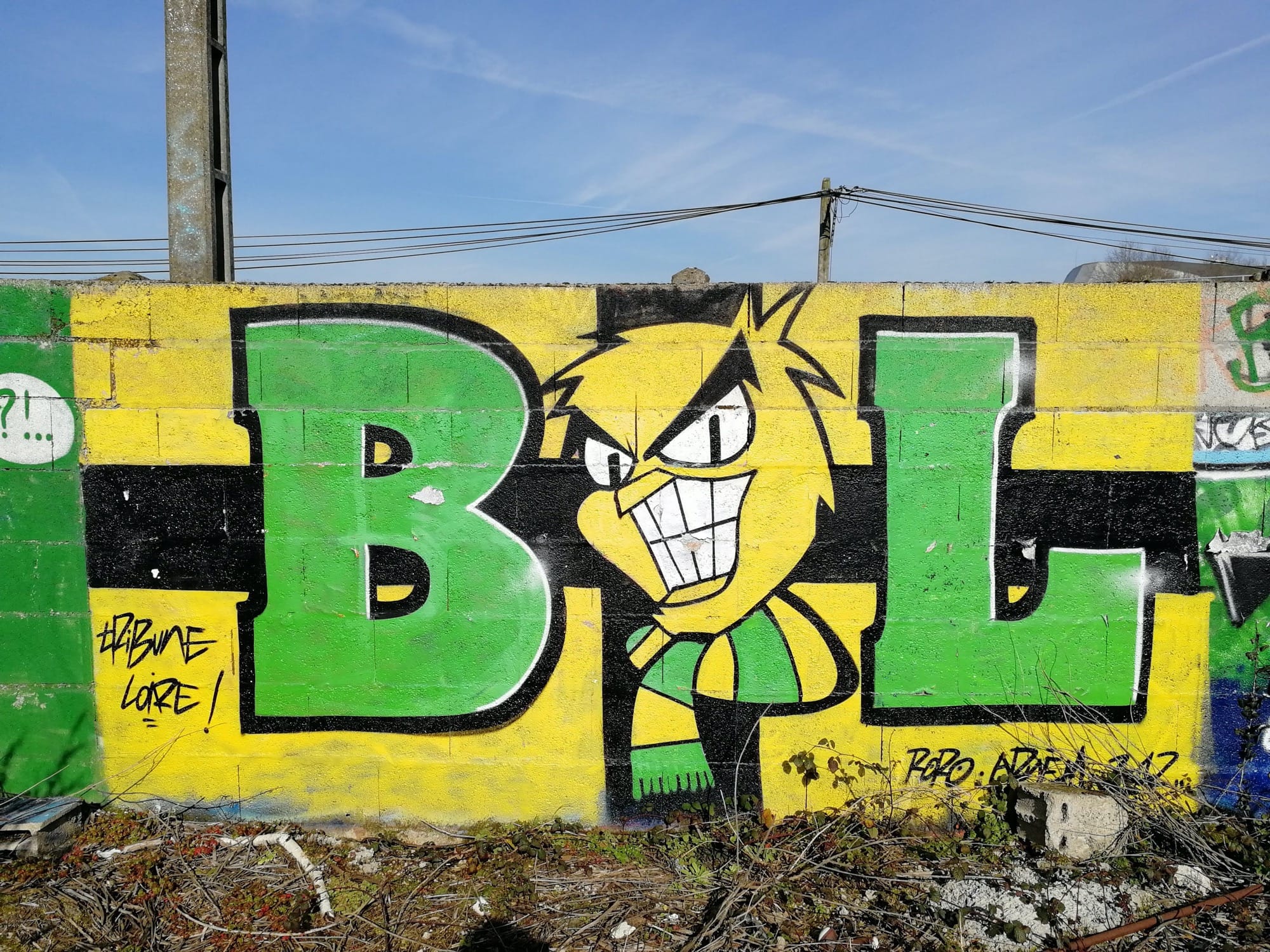 Graffiti 865 Brigade Loire FC Nantes captured by Rabot in Nantes France