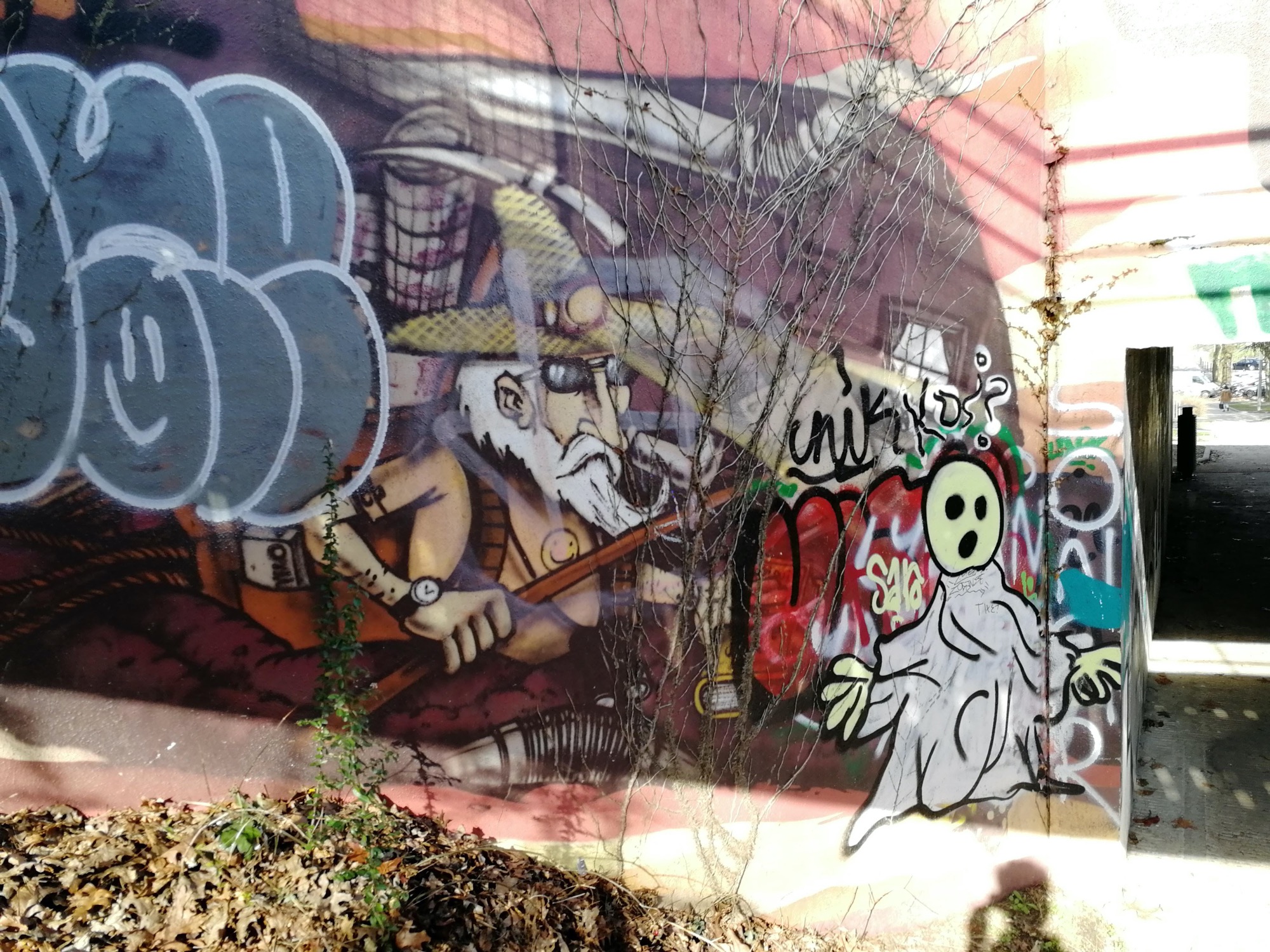 Graffiti 869  capturé par Rabot à Nantes France