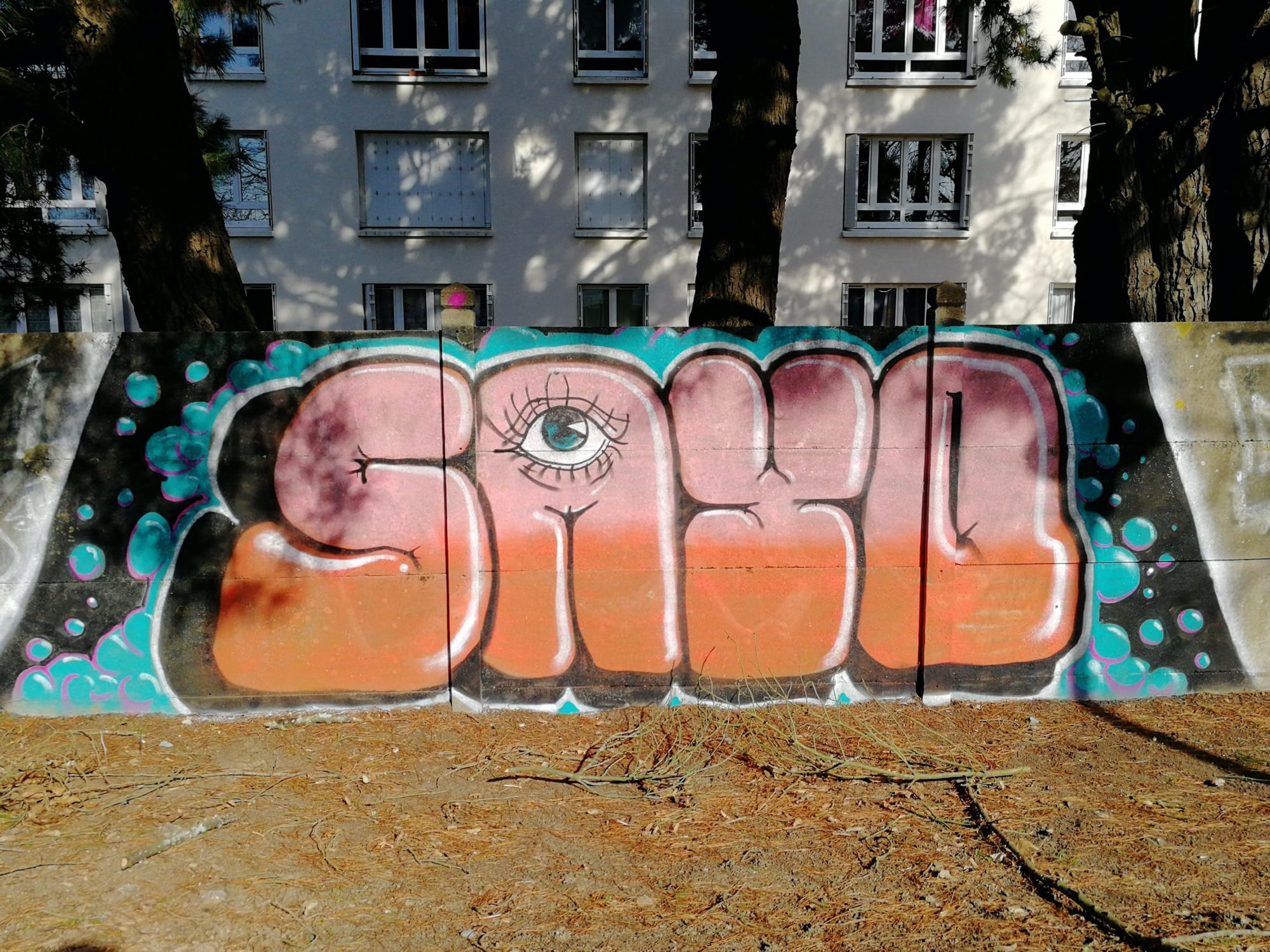 Graffiti 871  capturé par Rabot à Nantes France
