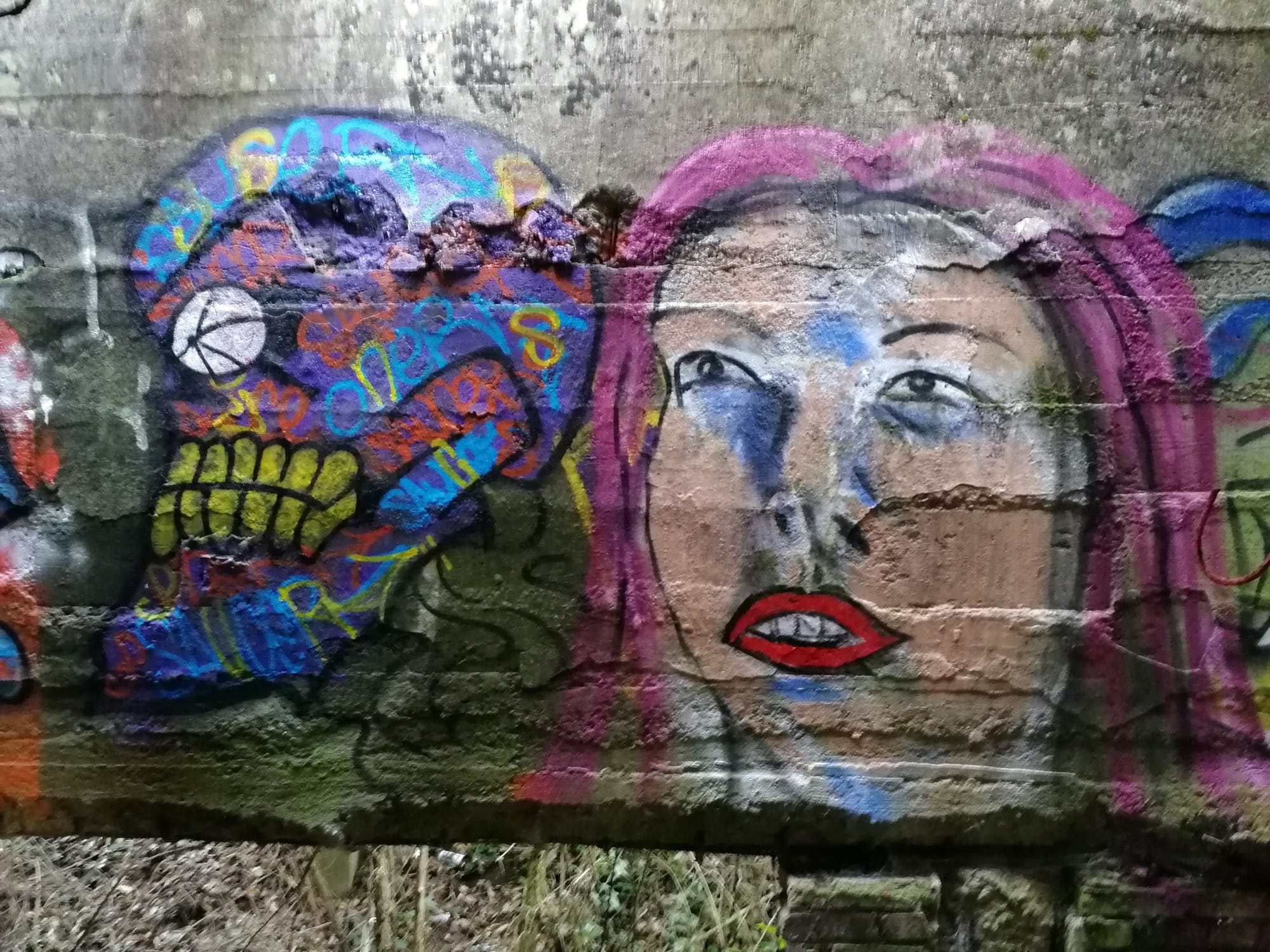 Graffiti 878  capturé par Rabot à Trignac France