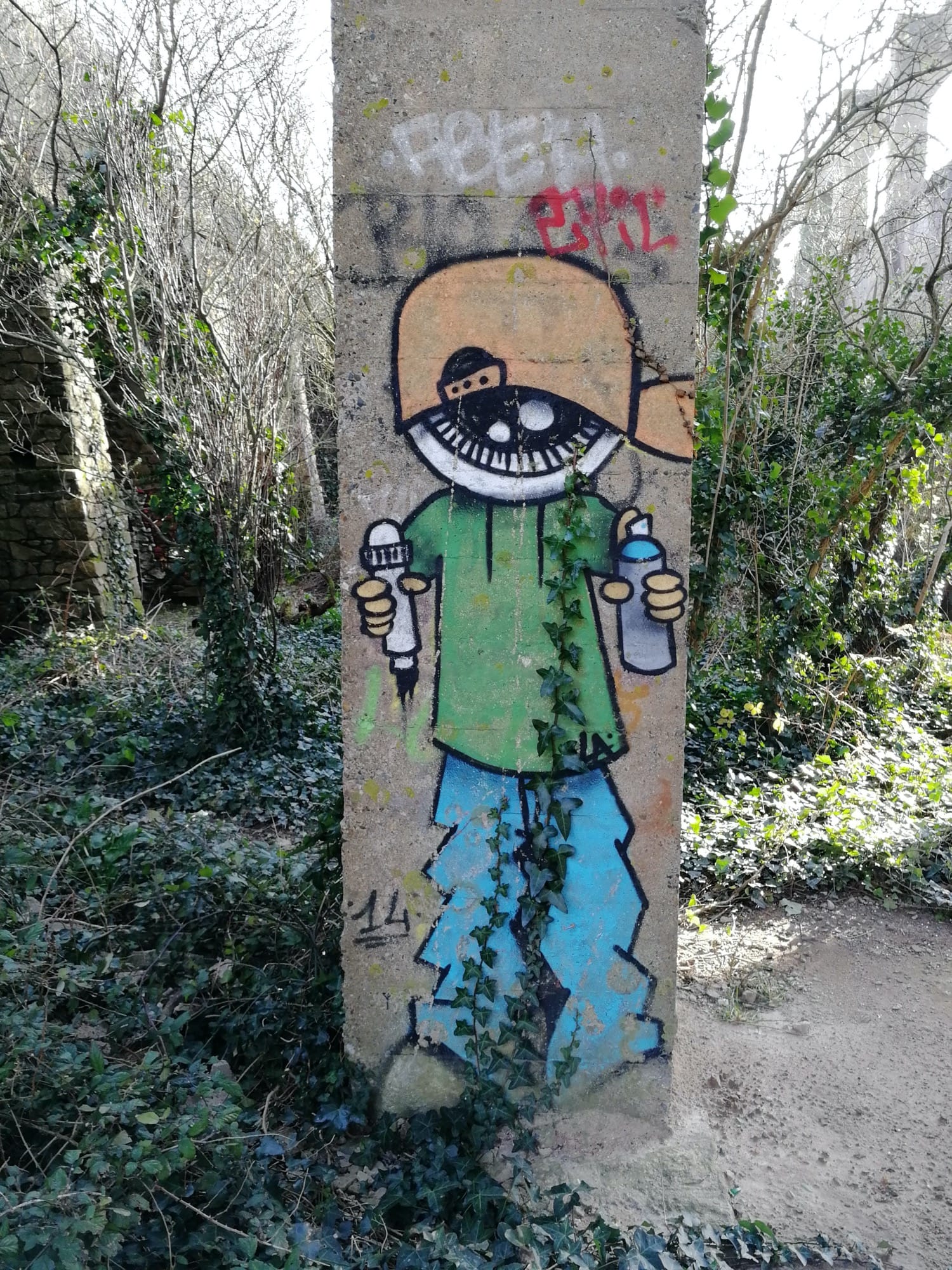 Graffiti 879  capturé par Rabot à Trignac France