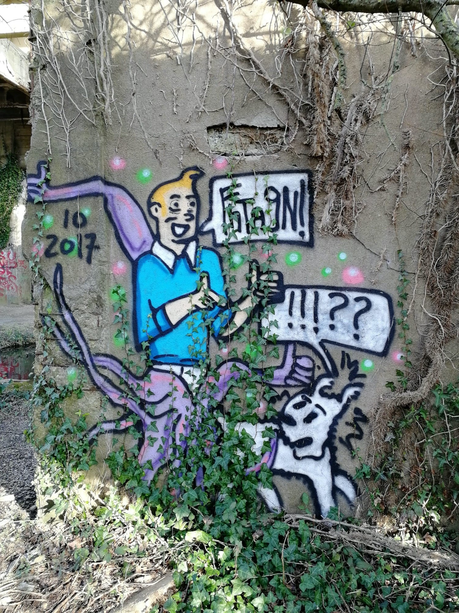 Graffiti 881 Tintin et Milou capturé par Rabot à Trignac France