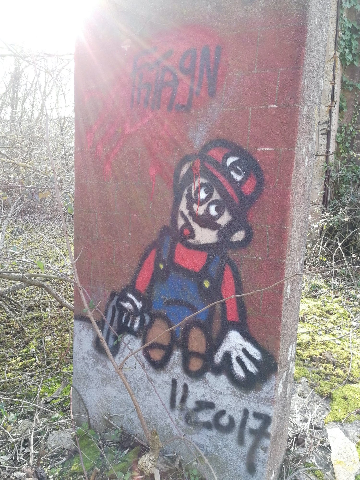 Graffiti 886 Dead Mario capturé par Rabot à Trignac France