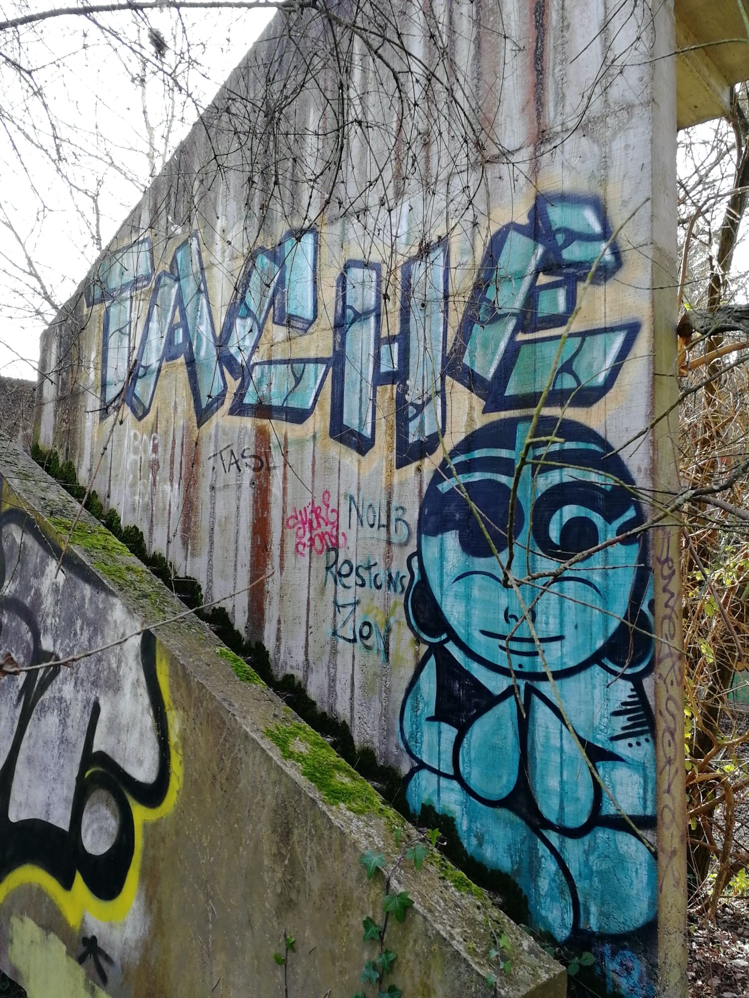 Graffiti 889  capturé par Rabot à Trignac France