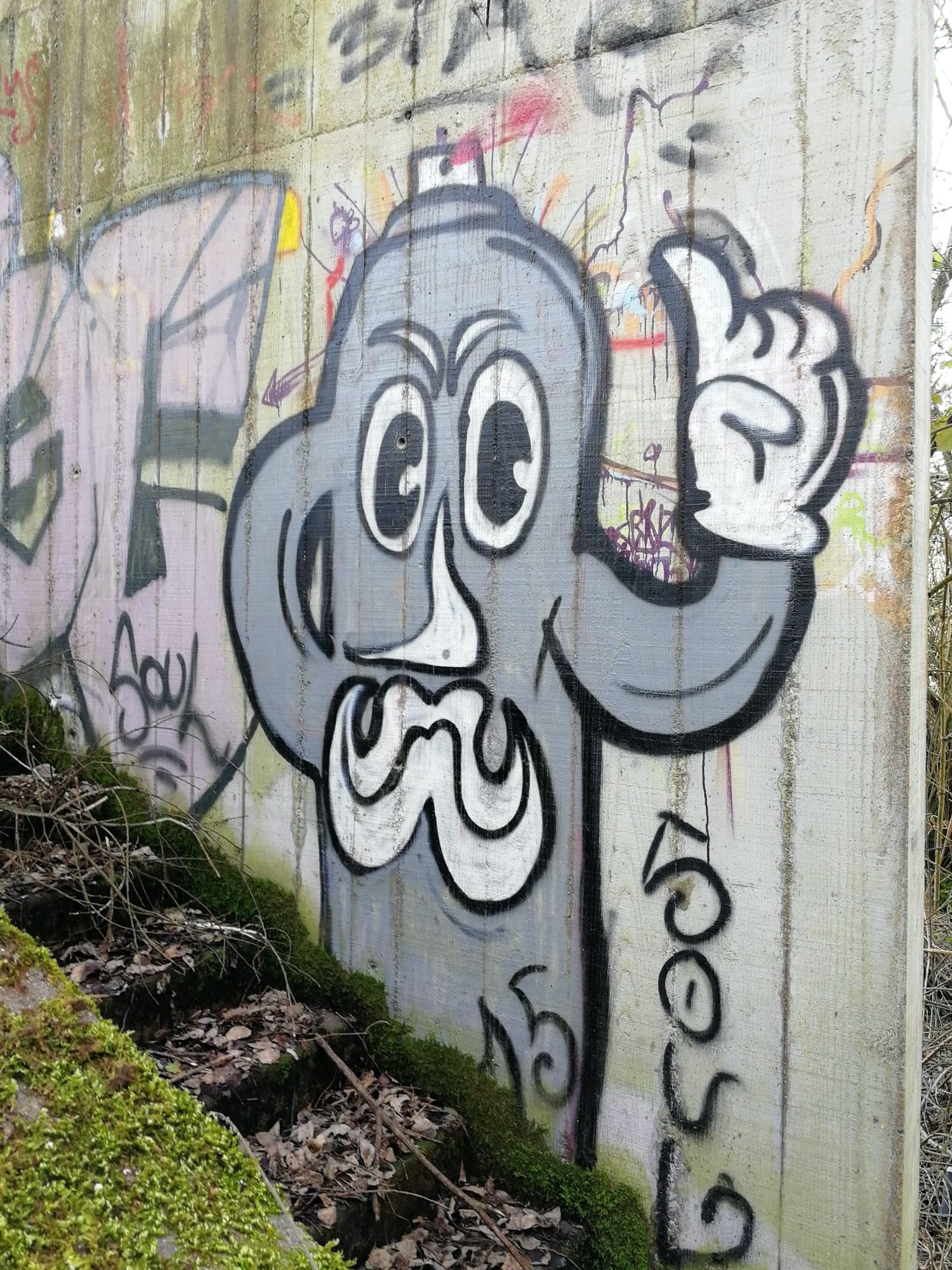 Graffiti 891  capturé par Rabot à Trignac France