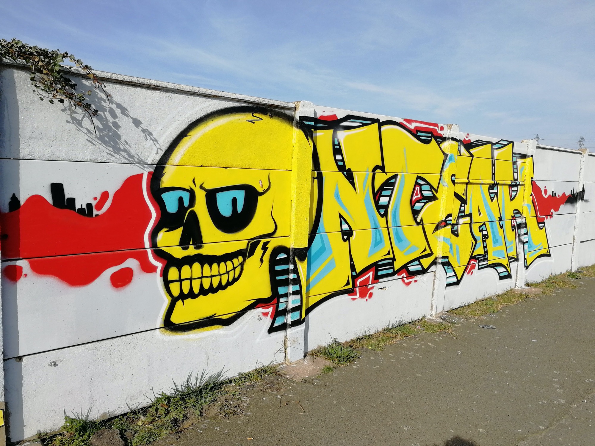 Graffiti 915 Skull capturé par Rabot à Saint-Nazaire France