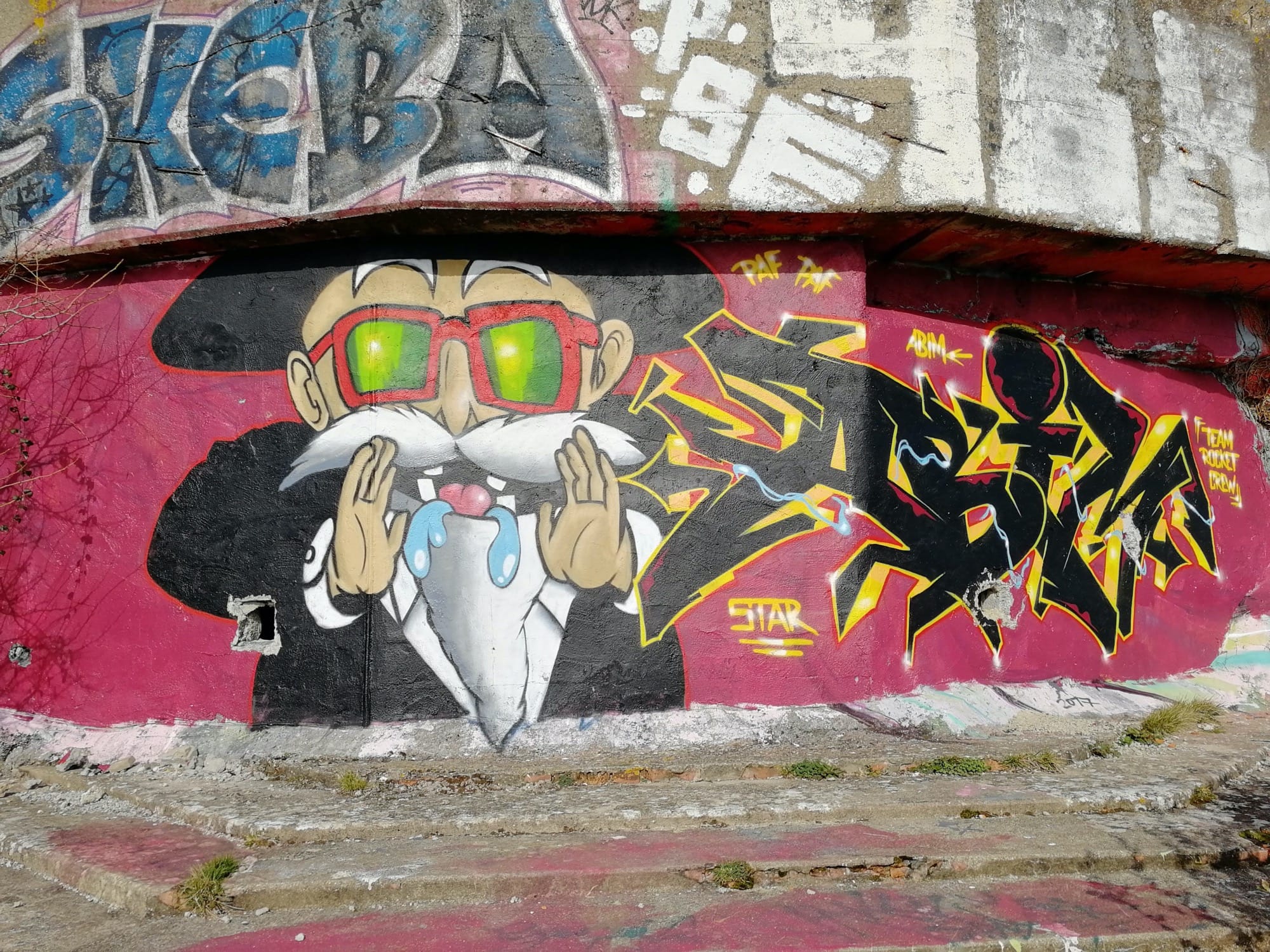 Graffiti 930 Tortue géniale capturé par Rabot à Saint-Nazaire France