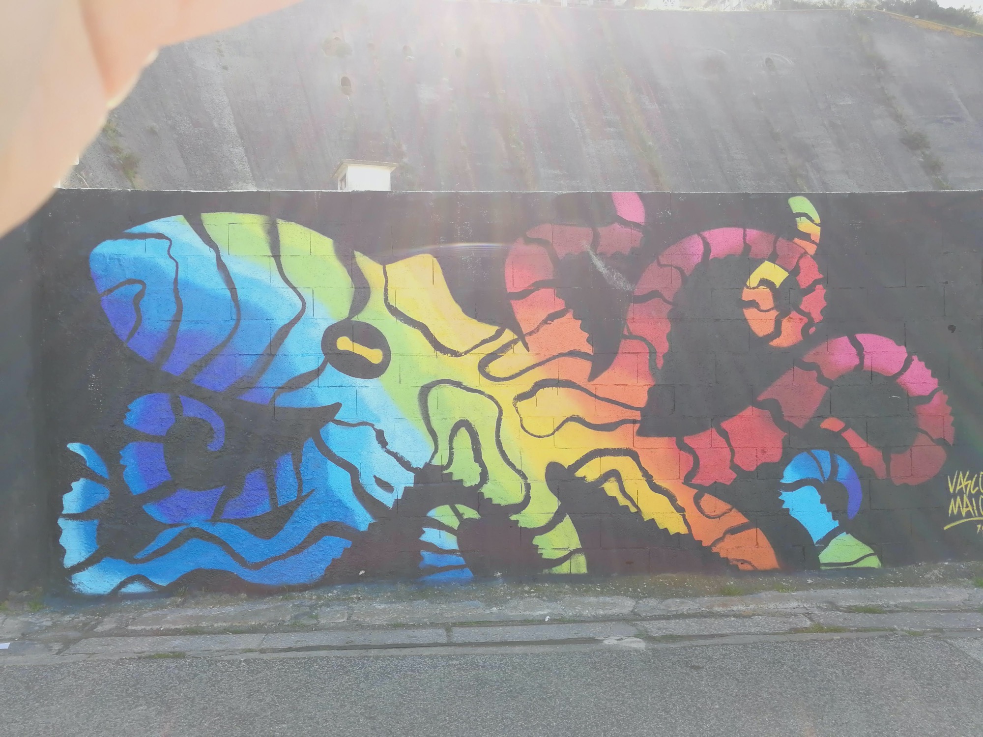 Graffiti 1025 Octopus colorful capturé par Rabot à Lisboa Portugal