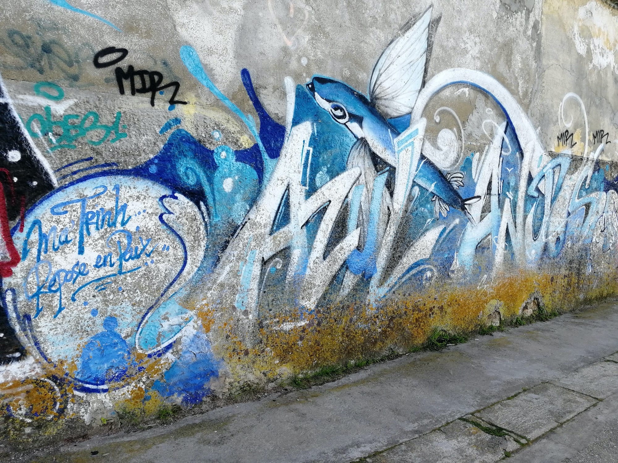 Graffiti 1035 Flying fish capturé par Rabot à Lisboa Portugal