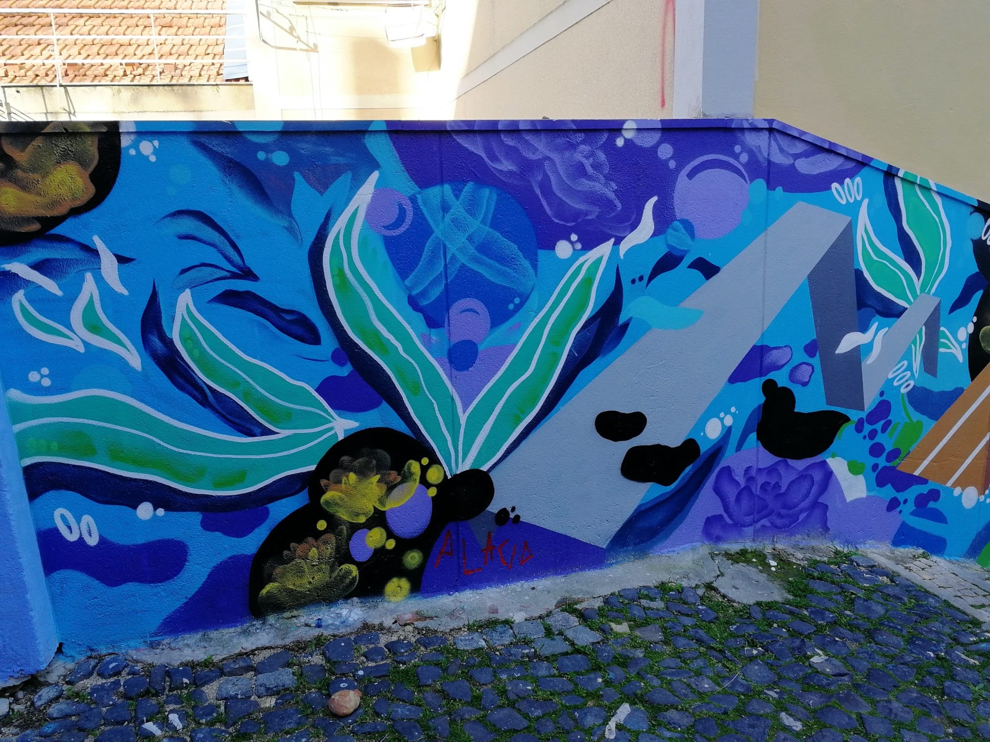 Graffiti 1078  capturé par Rabot à Lisboa Portugal