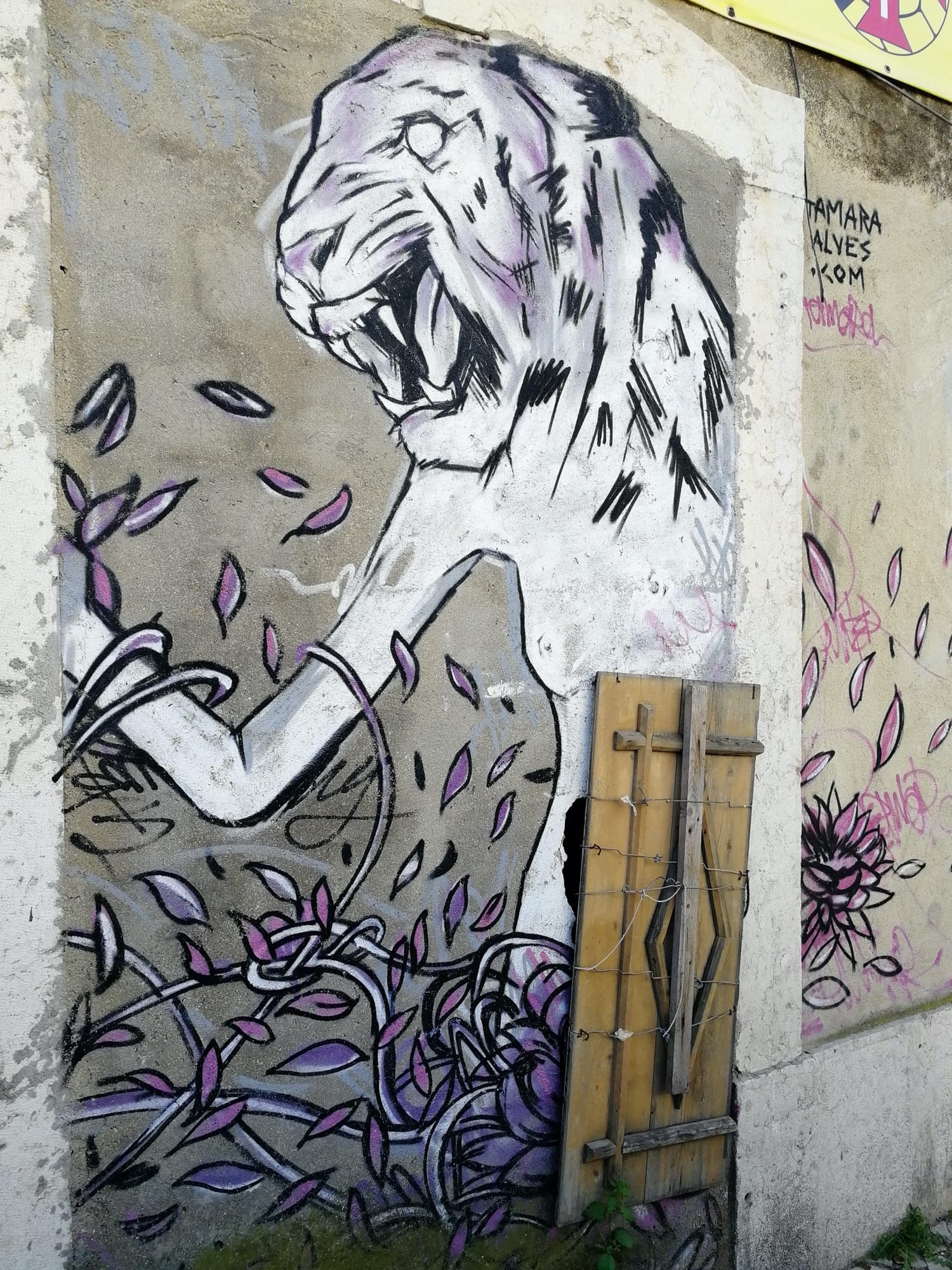 Graffiti 1100  capturé par Rabot à Lisboa Portugal