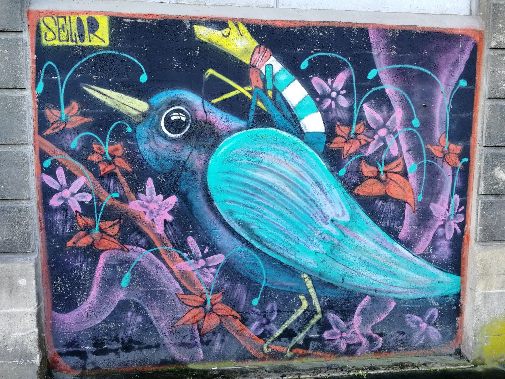Graffiti 1114  de Selor capturé par Rabot à Bordeaux France