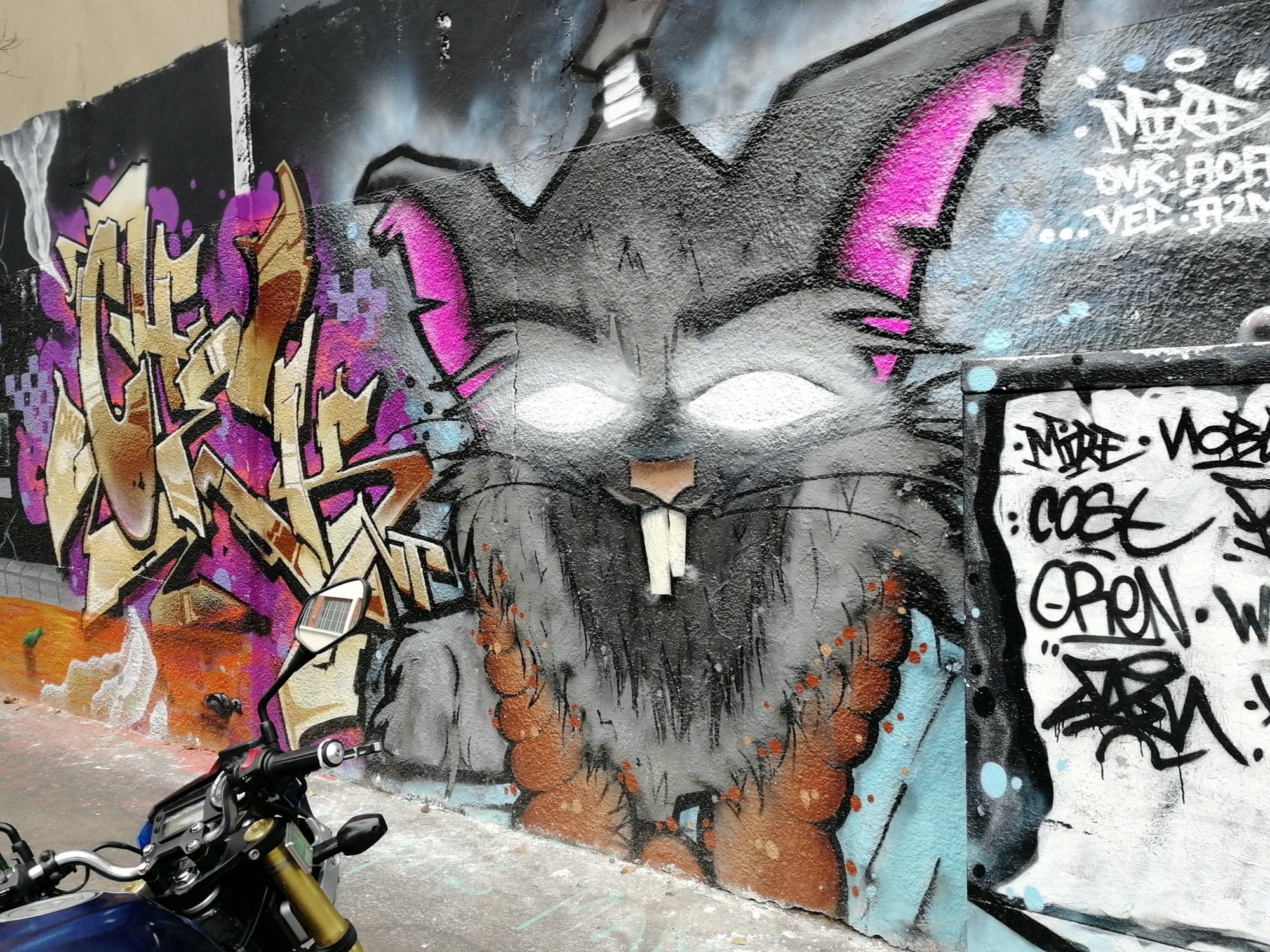 Graffiti 1153  capturé par Rabot à Paris France