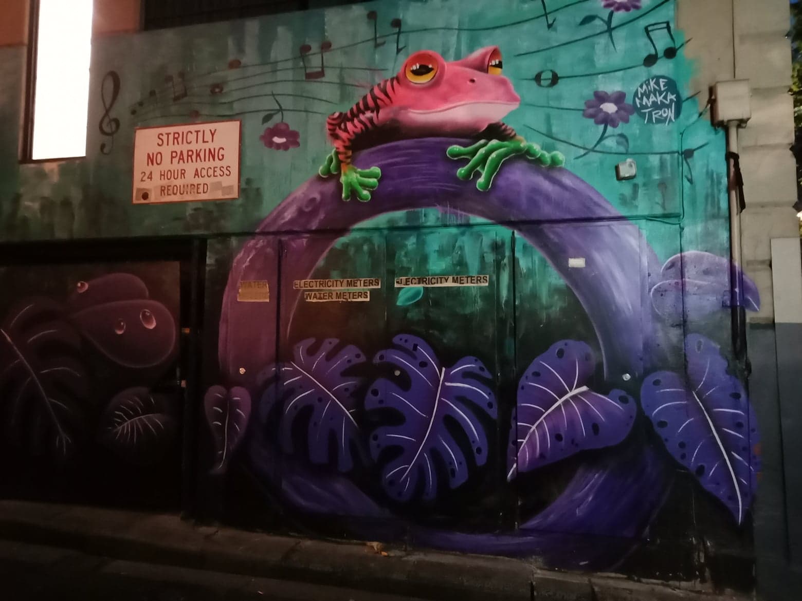 Graffiti 1158 Frog by the artist Mike Makatron captured by MEGutsell in Melbourne Australia
