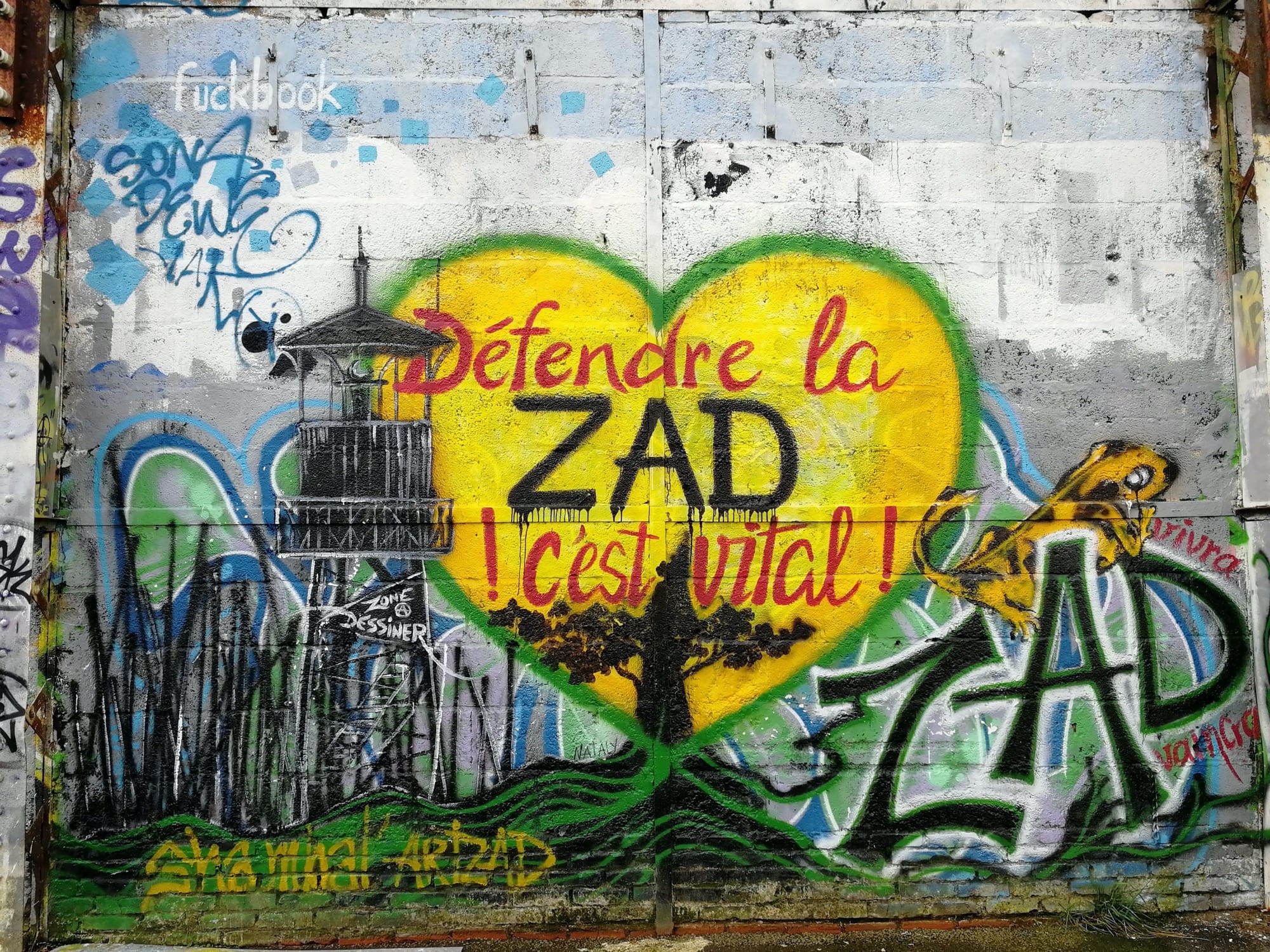 Graffiti 1175 ZAD : Zone à dessiner capturé par Rabot à Redon France