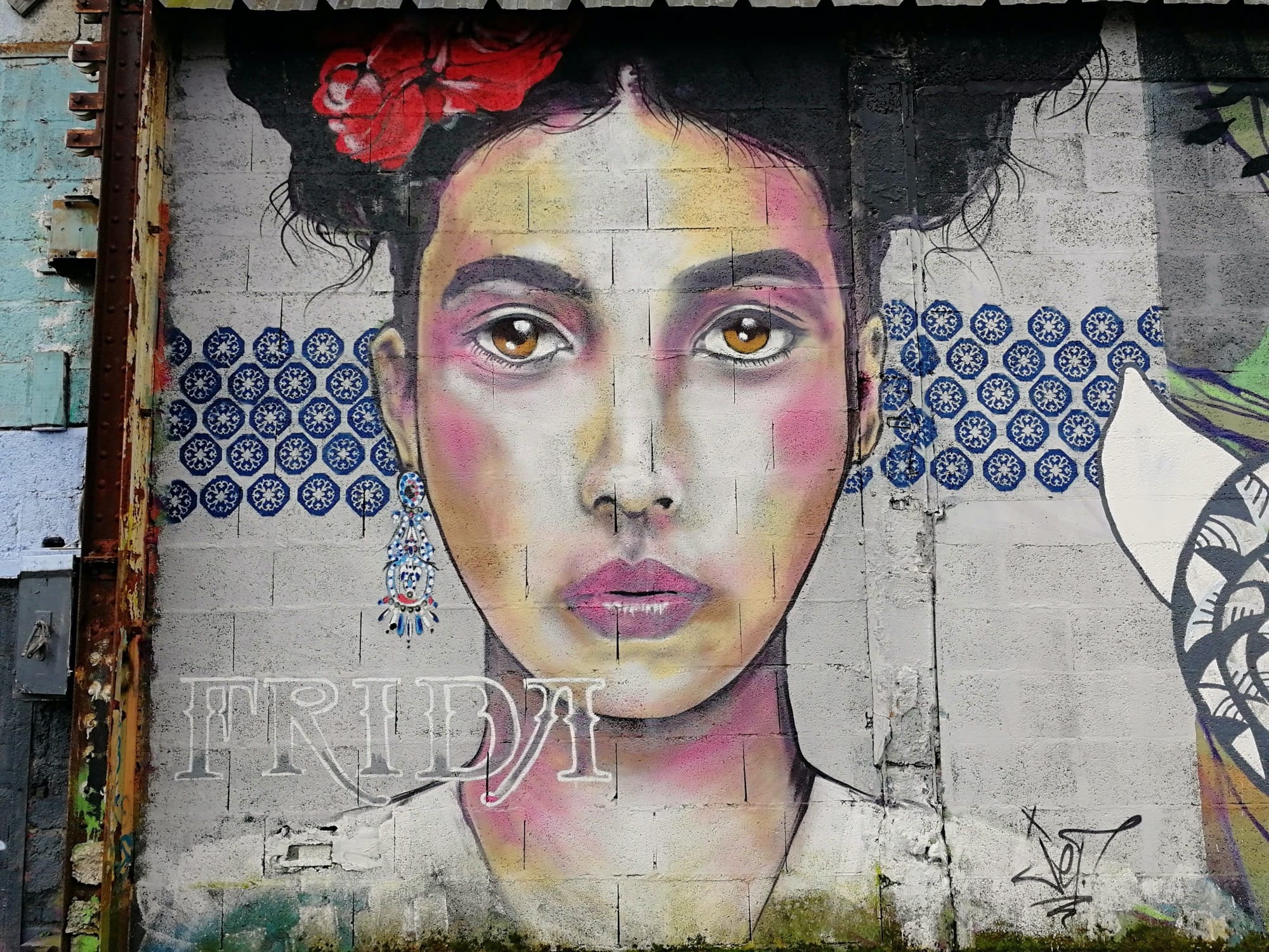 Graffiti 1178 Frida de Jef capturé par Rabot à Redon France