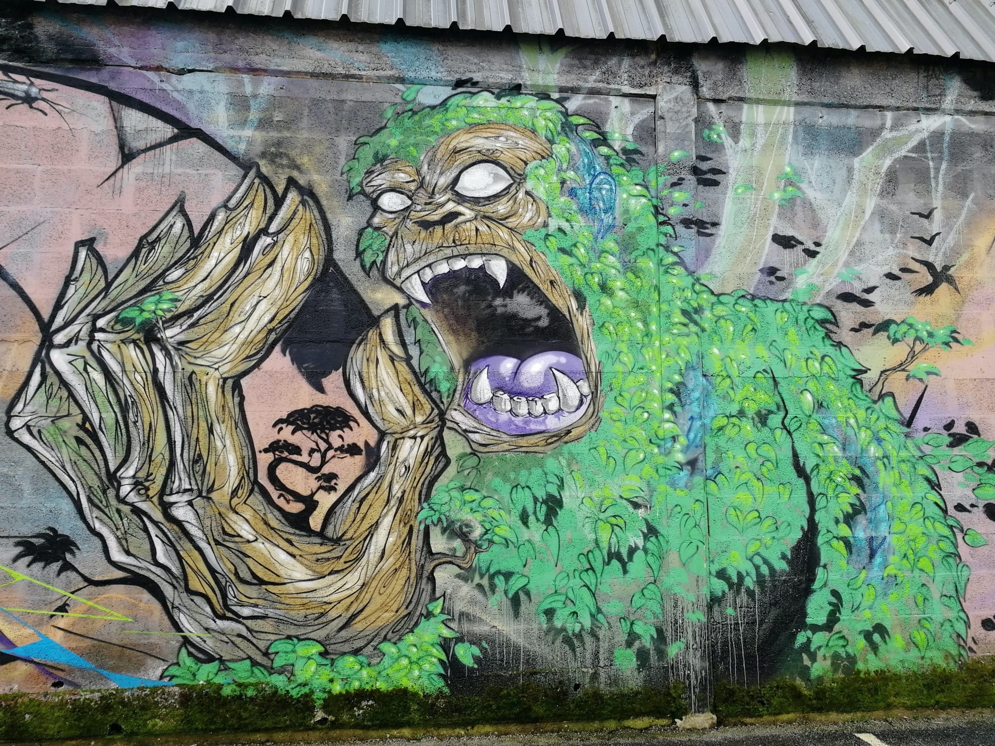Graffiti 1182 Forest gorilla capturé par Rabot à Redon France