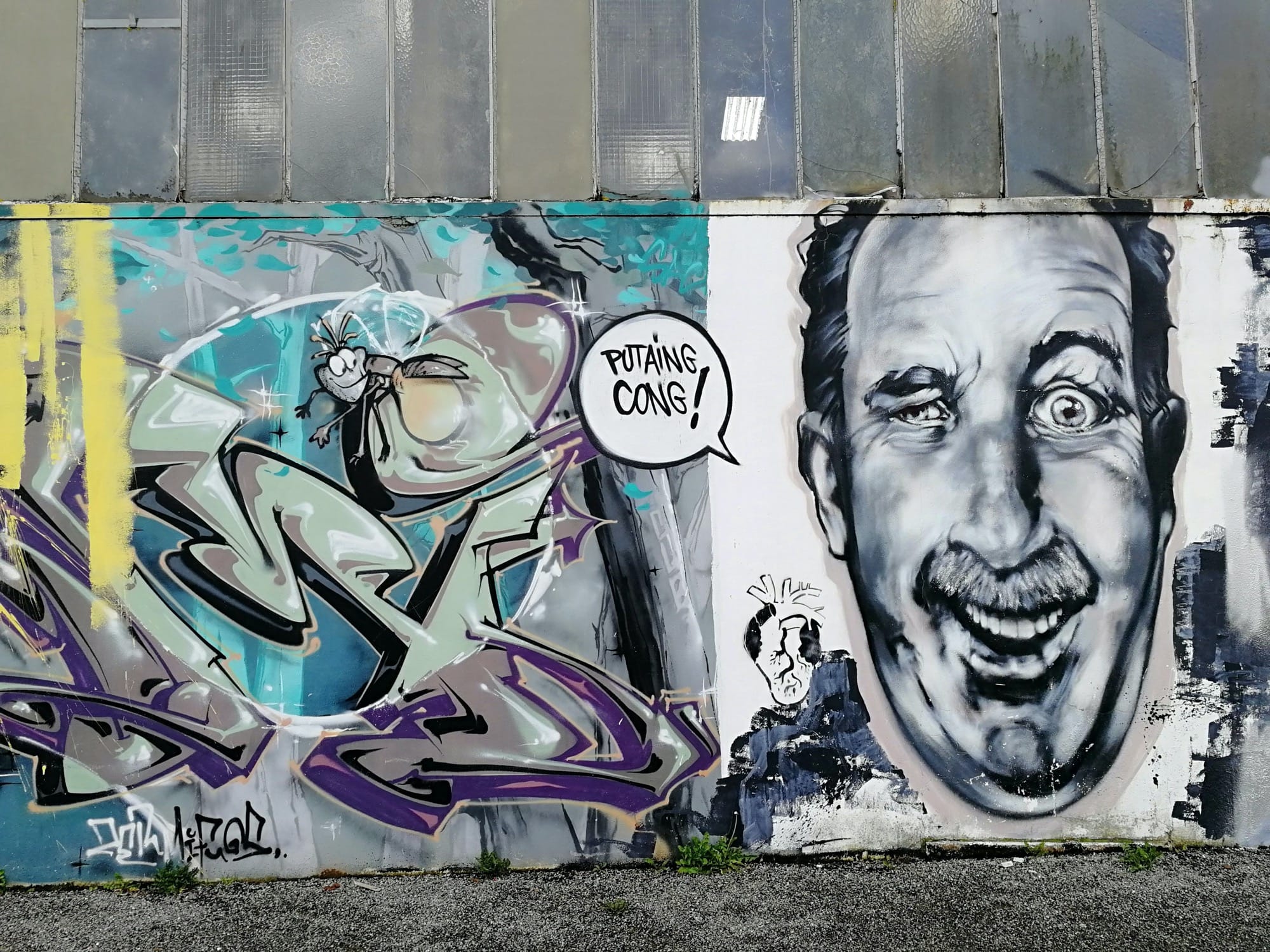 Graffiti 1192  capturé par Rabot à Redon France