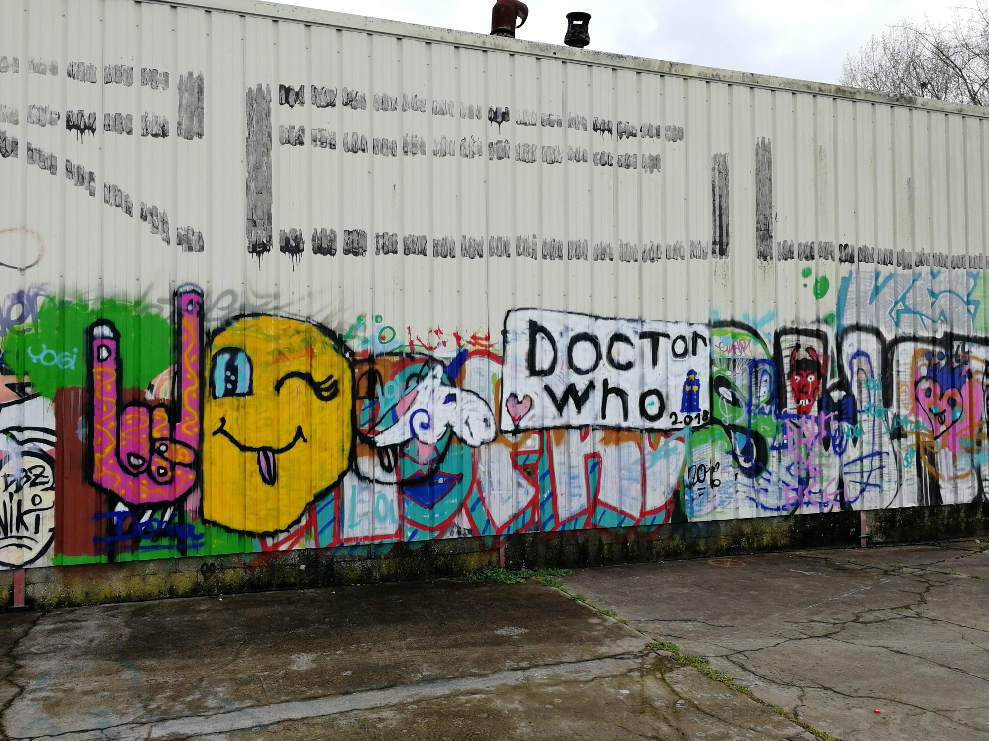 Graffiti 1205  capturé par Rabot à Redon France