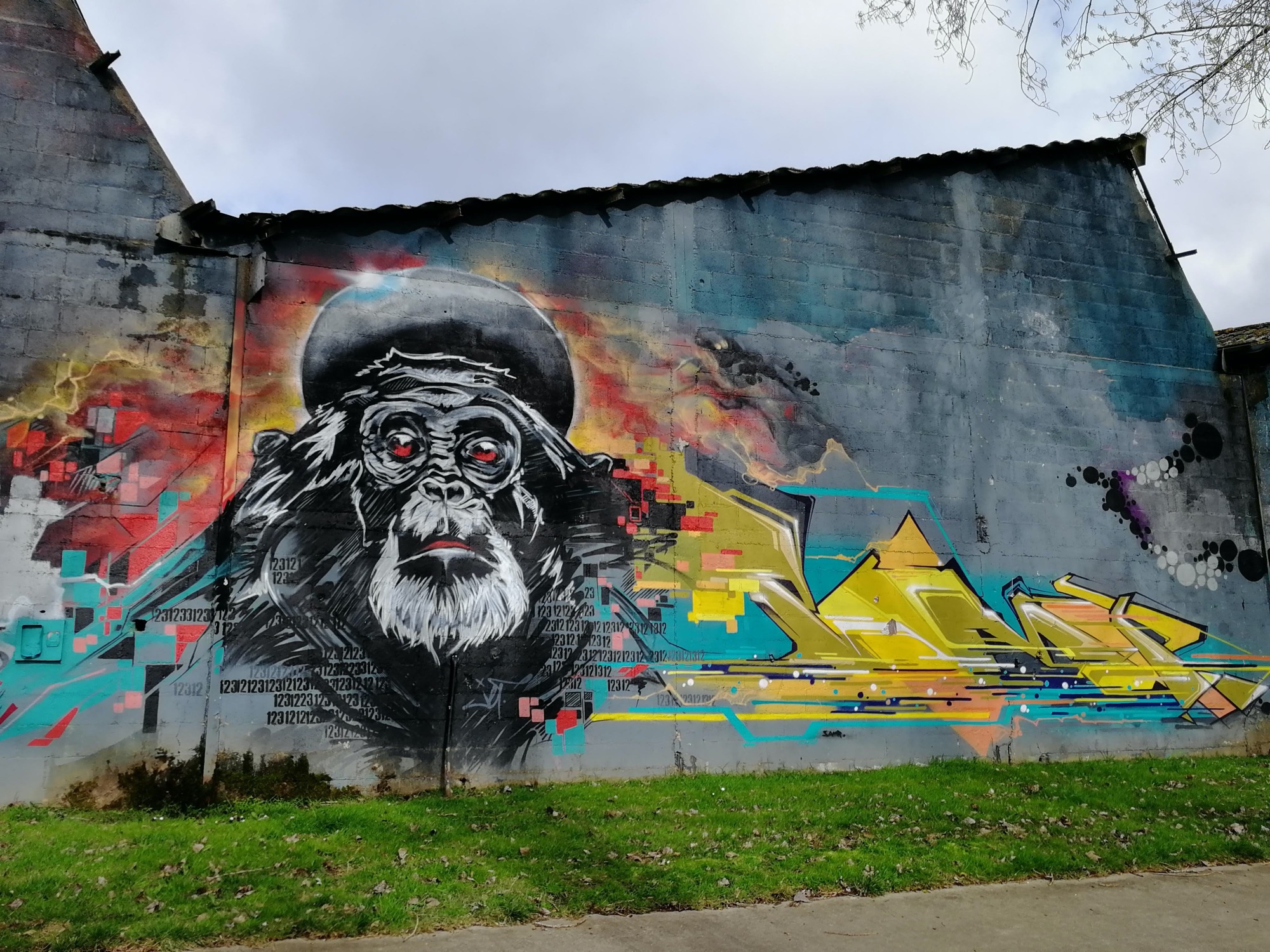Graffiti 1210  captured by Rabot in Redon France