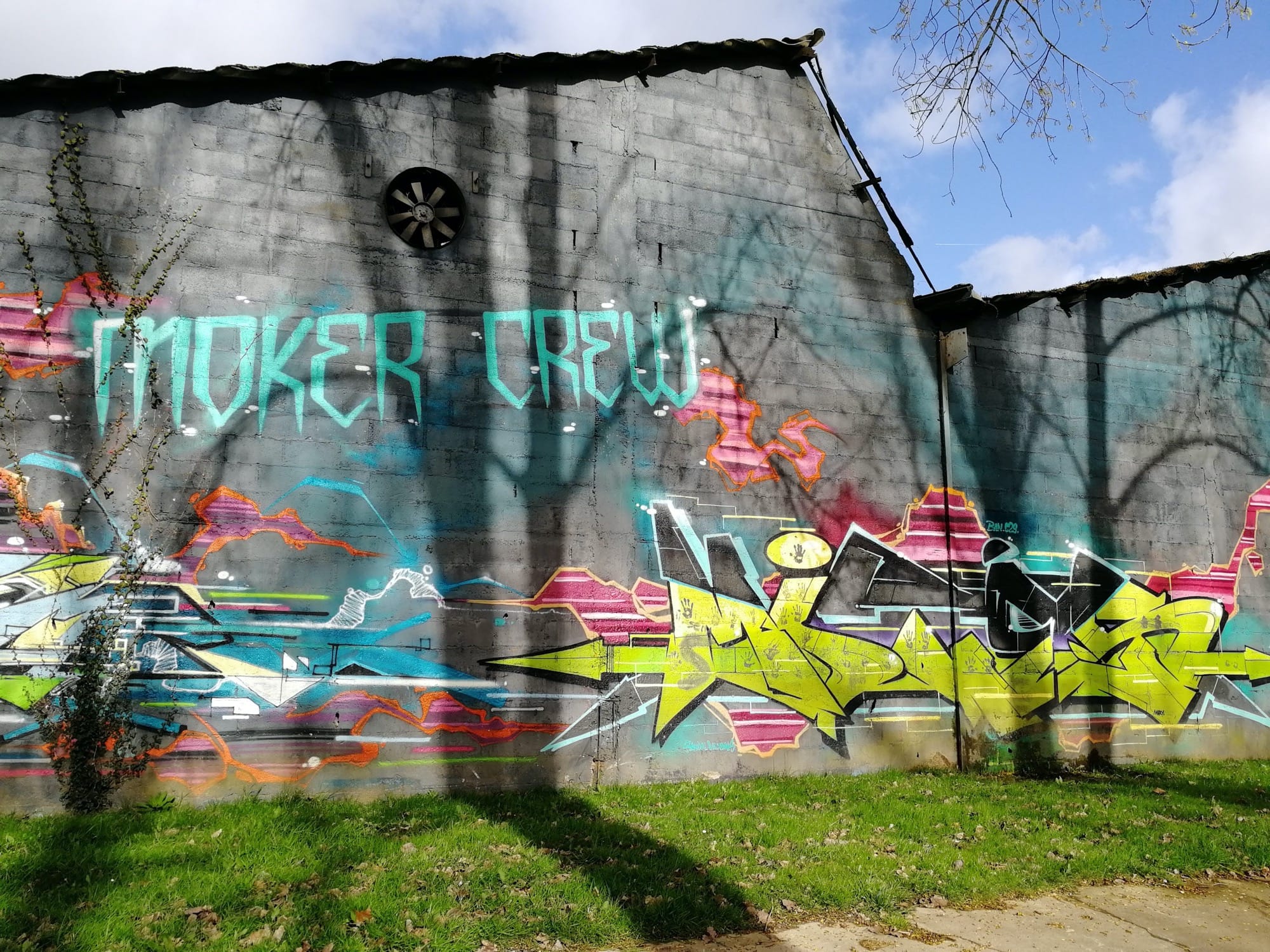 Graffiti 1215  capturé par Rabot à Redon France