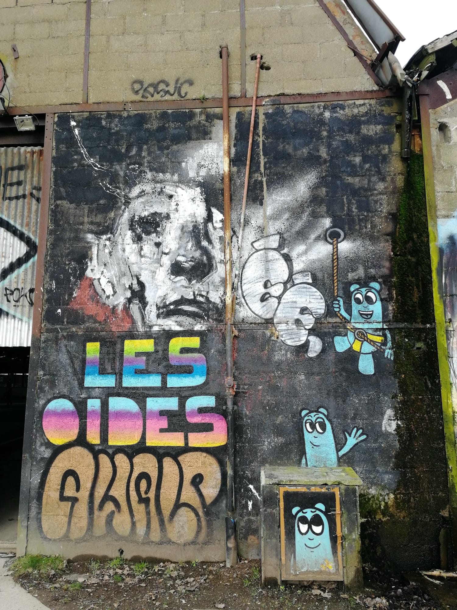 Graffiti 1220  by the artist Les Oides captured by Rabot in Redon France