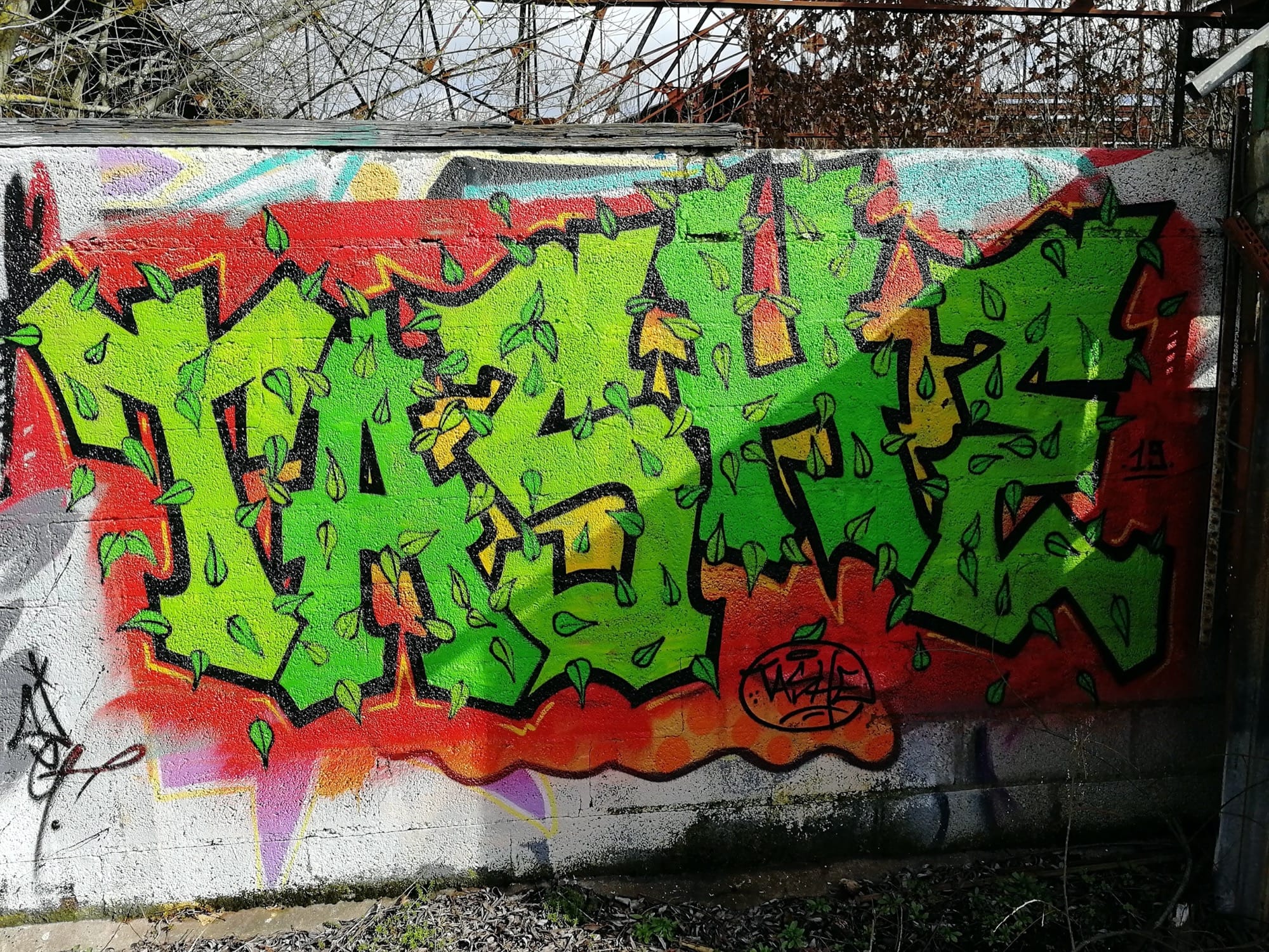 Graffiti 1236  capturé par Rabot à Redon France