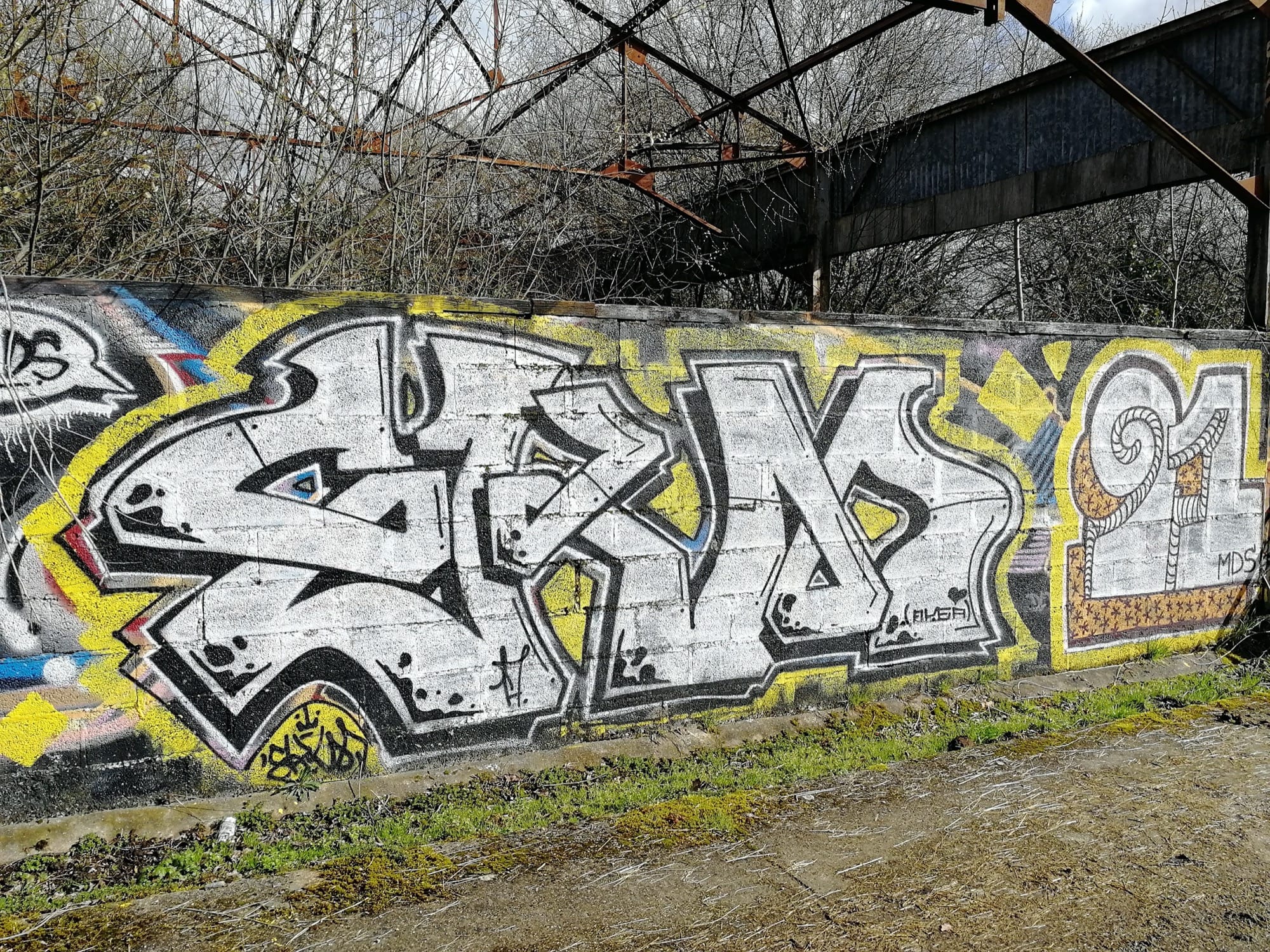 Graffiti 1238  capturé par Rabot à Saint-Nicolas-de-Redon France