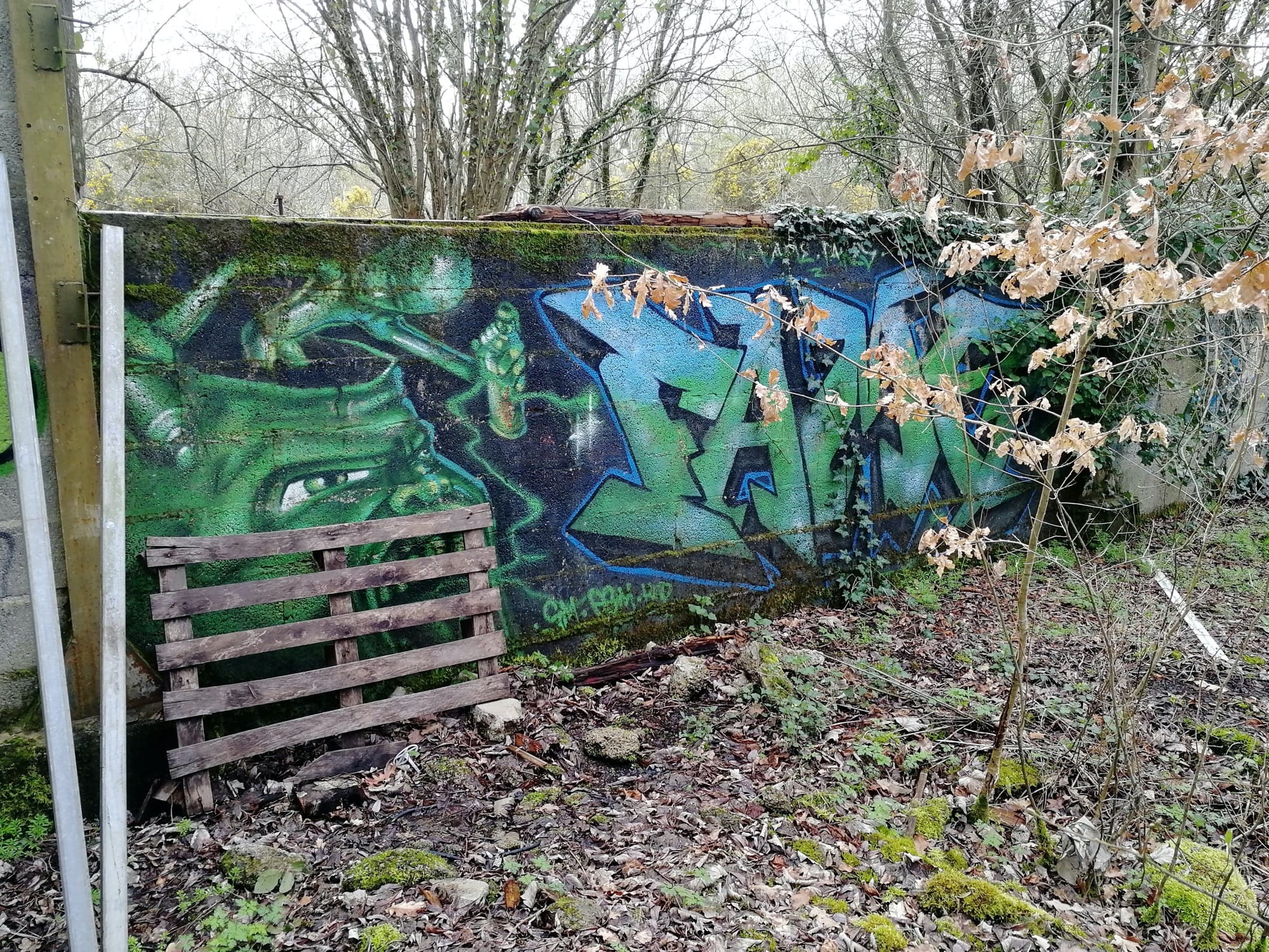Graffiti 1250  capturé par Rabot à Saint-Nicolas-de-Redon France