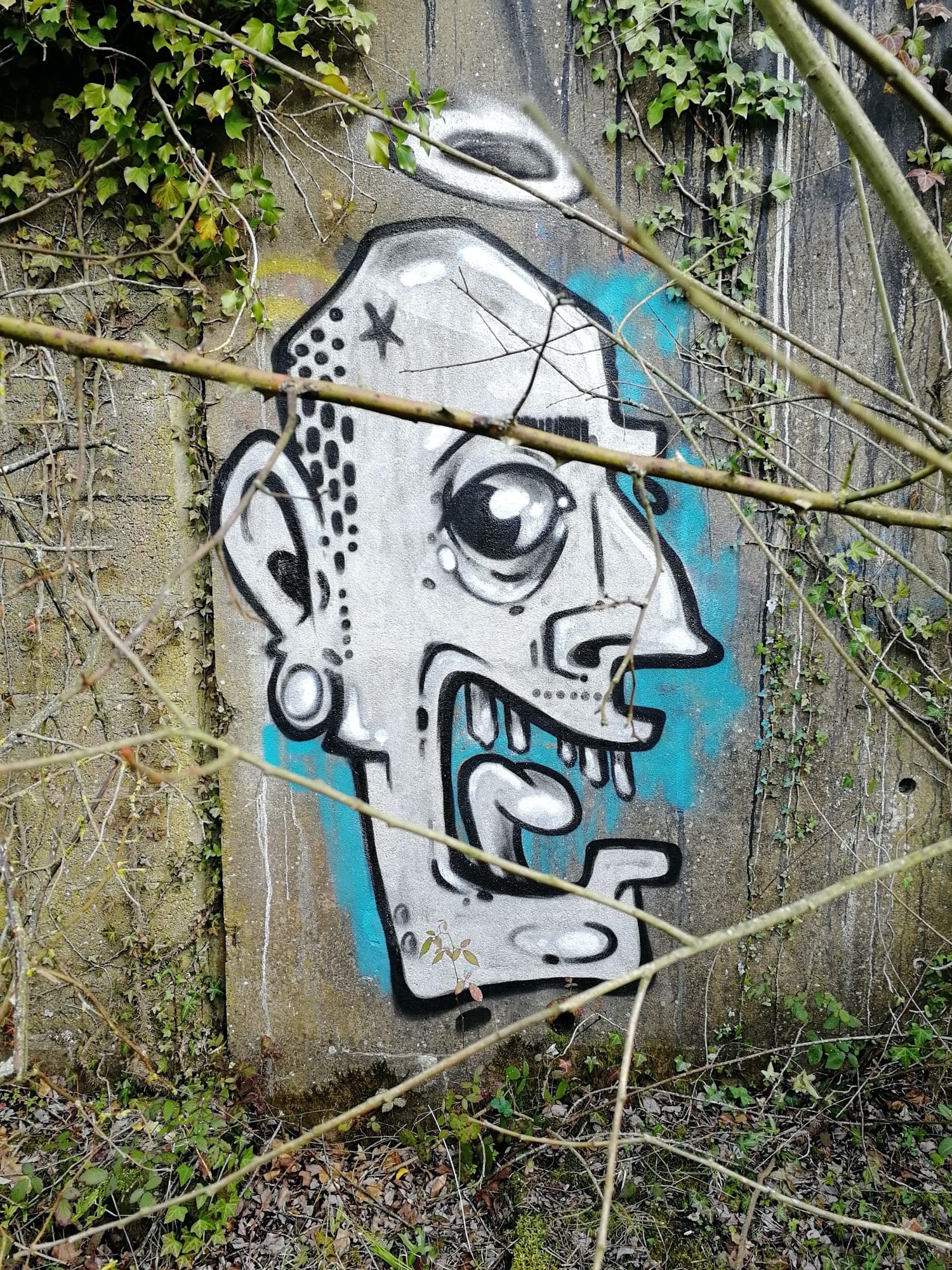 Graffiti 1258  de Jef capturé par Rabot à Redon France