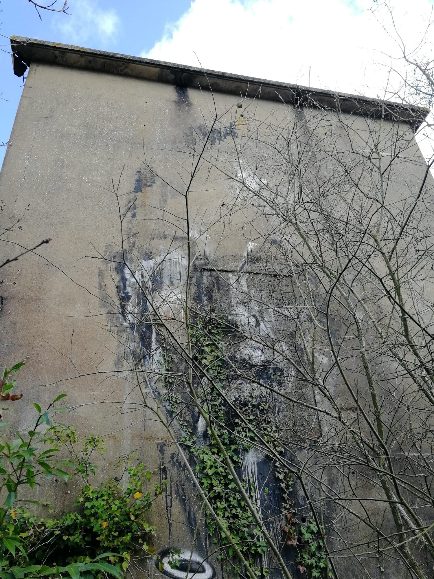 Graffiti 1259  captured by Rabot in Saint-Nicolas-de-Redon France