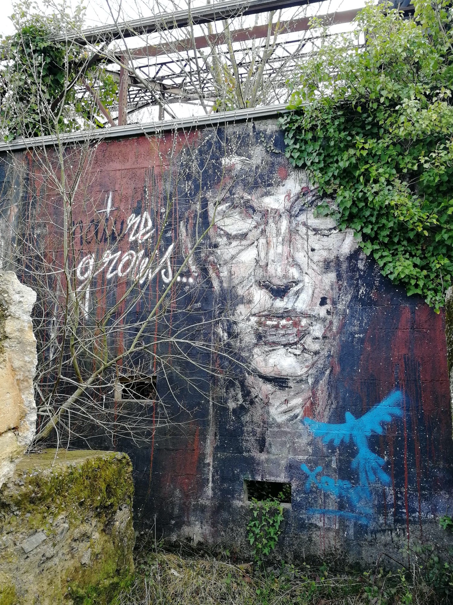 Graffiti 1260  capturé par Rabot à Redon France