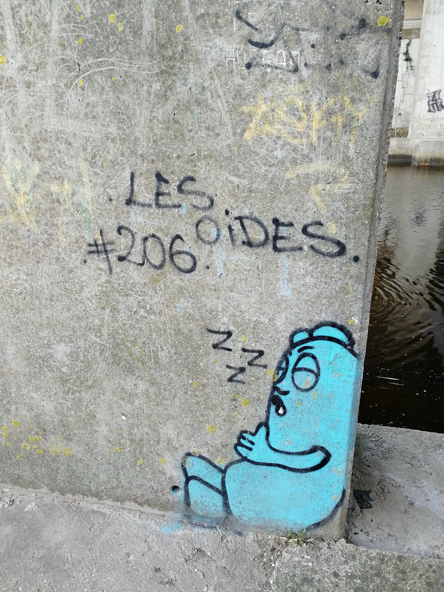 Graffiti 1316 Les oides #206 by the artist Les Oides captured by Rabot in Montoir-de-Bretagne France
