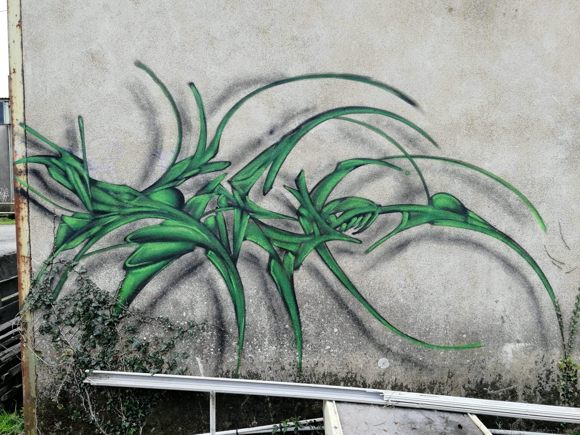 Graffiti 1355  capturé par Rabot à Issé France