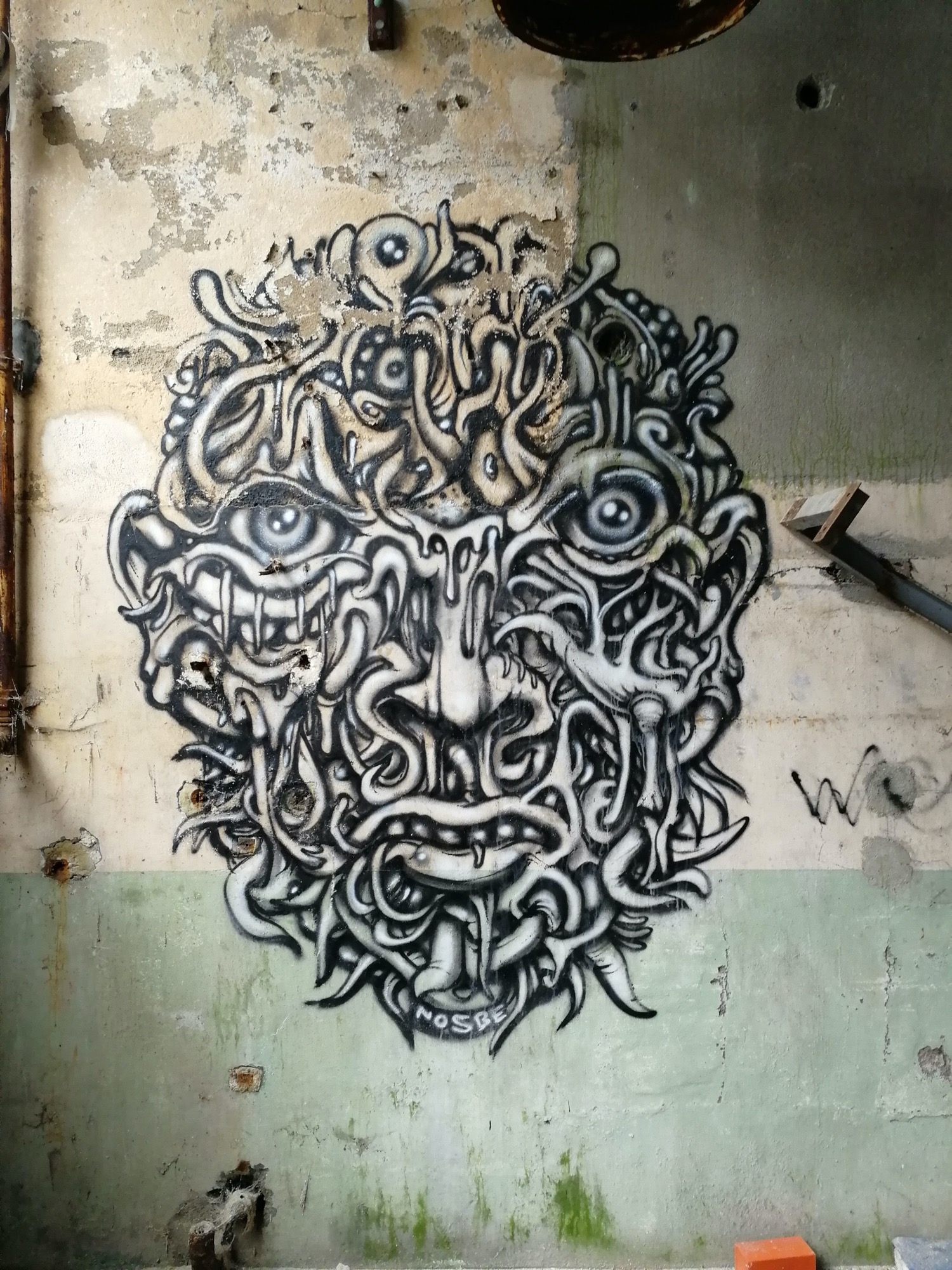 Graffiti 1367  by the artist Nosbe captured by Rabot in Issé France