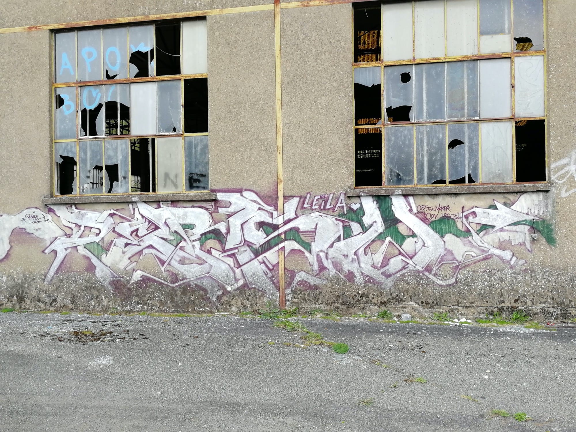 Graffiti 1374 Leila de Persu capturé par Rabot à Issé France