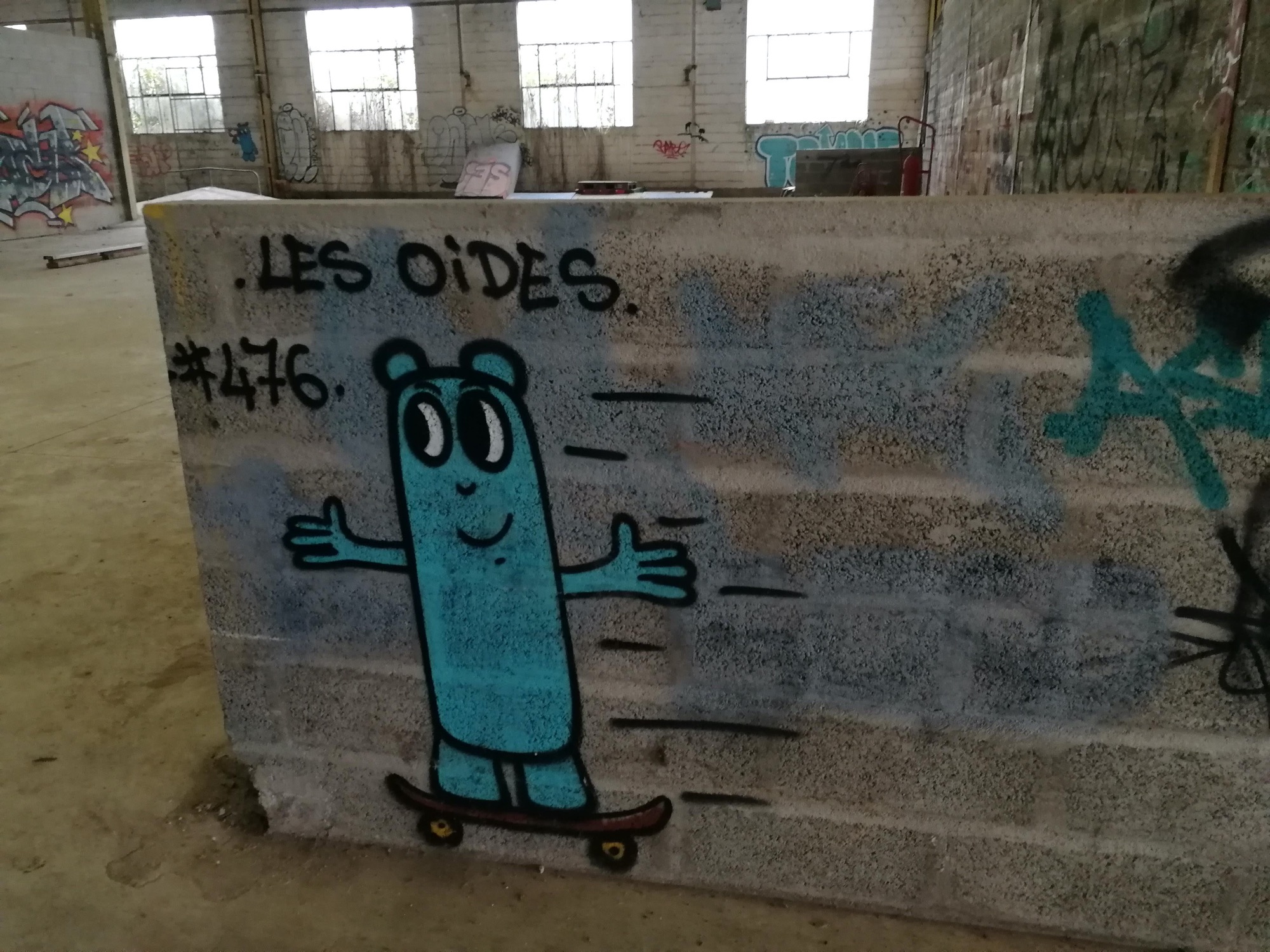 Graffiti 1381 Les oides #476 de Les Oides capturé par Rabot à Issé France