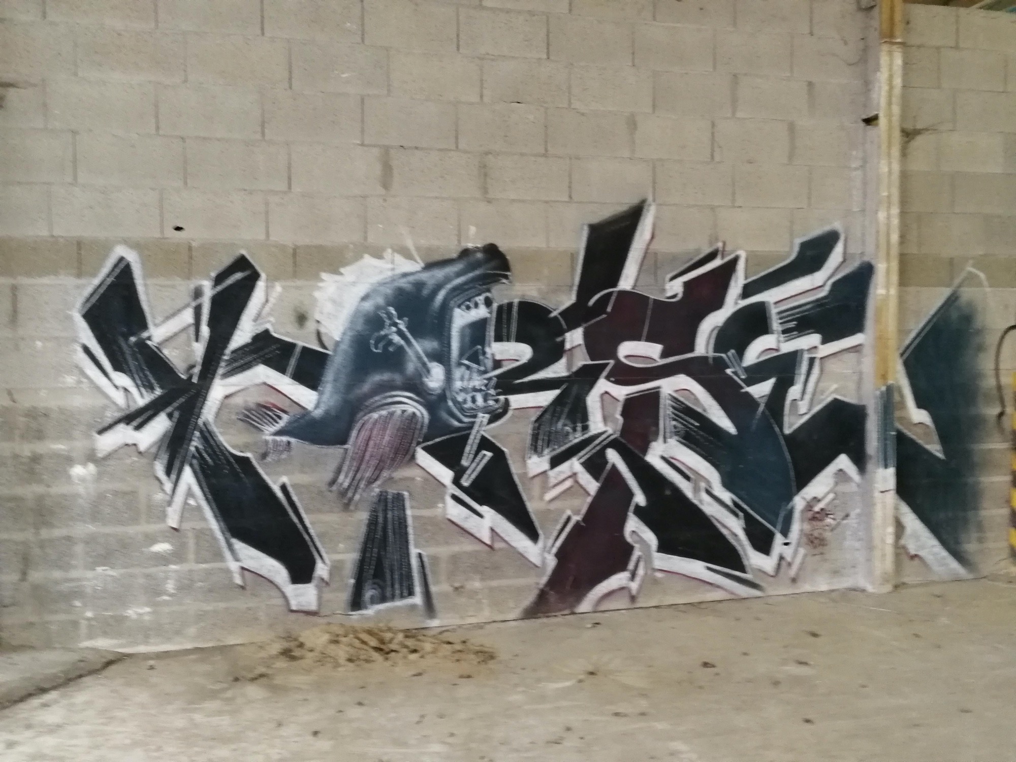 Graffiti 1386  de Kafé Korsé capturé par Rabot à Issé France