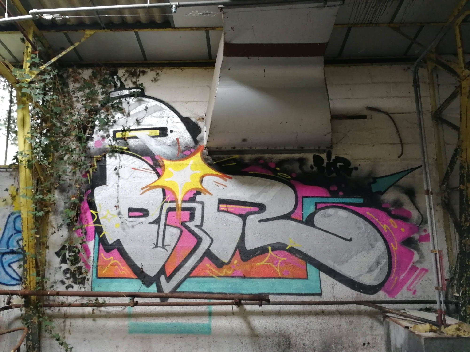 Graffiti 1391  capturé par Rabot à Issé France