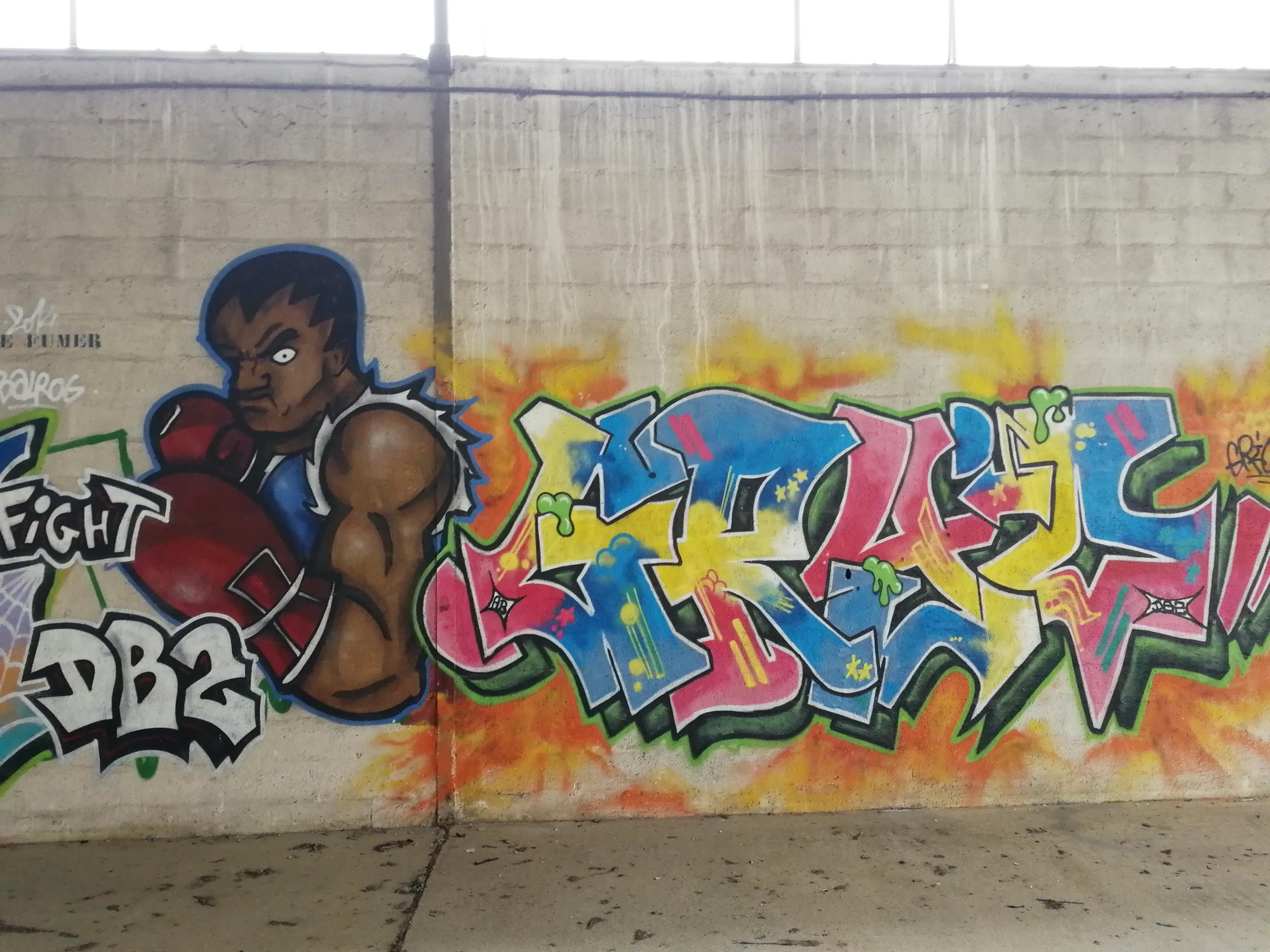 Graffiti 1410 Balrog, street fighter capturé par Rabot à Issé France