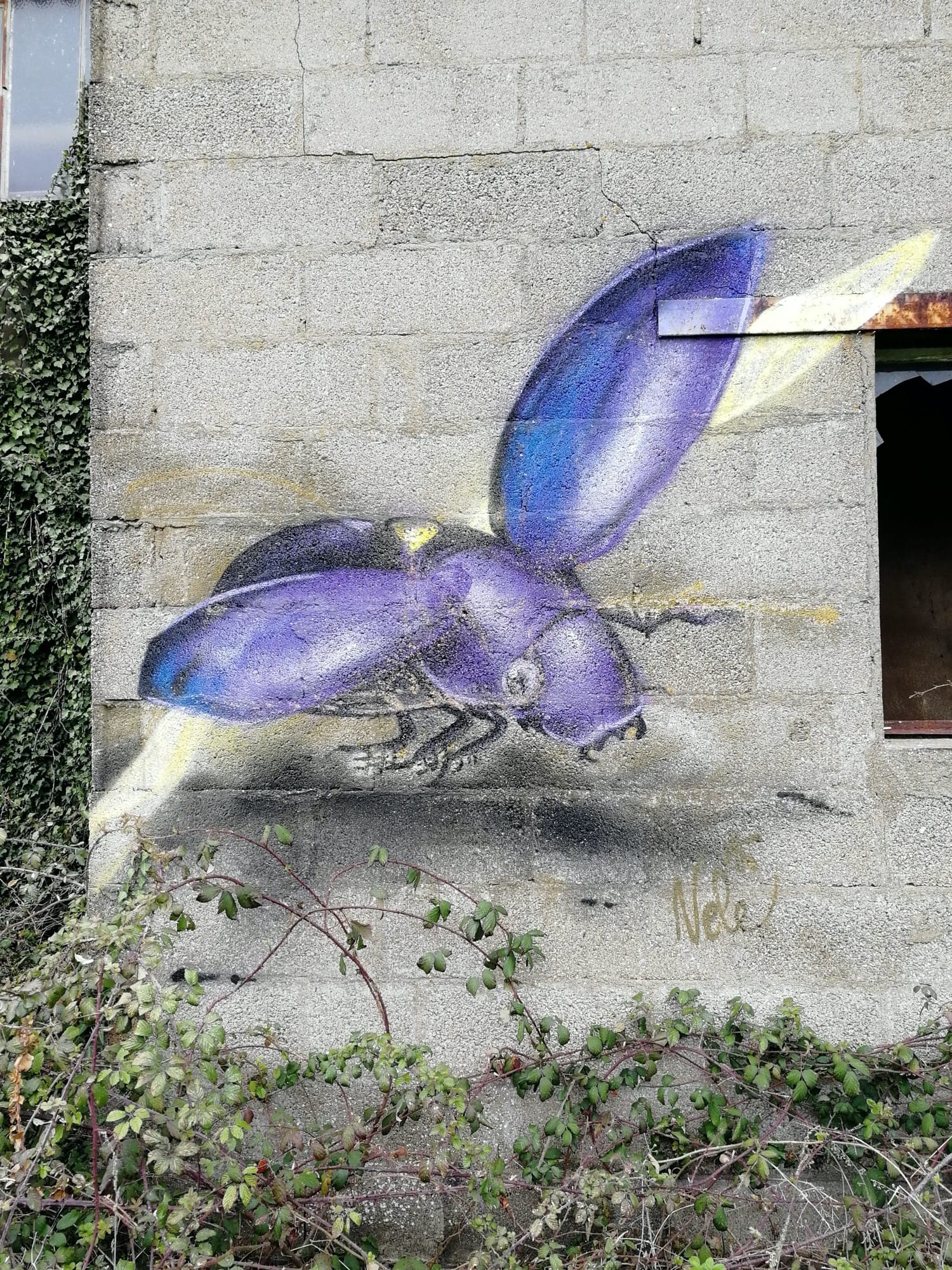 Graffiti 1414  capturé par Rabot à Issé France