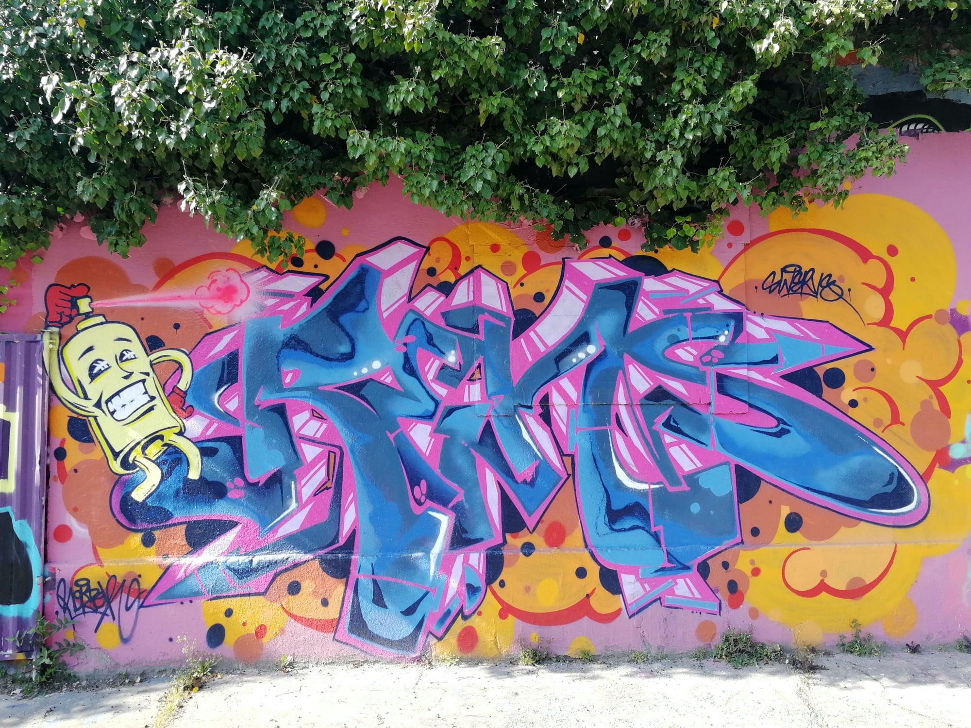 Graffiti 1499  capturé par Rabot à Nantes France